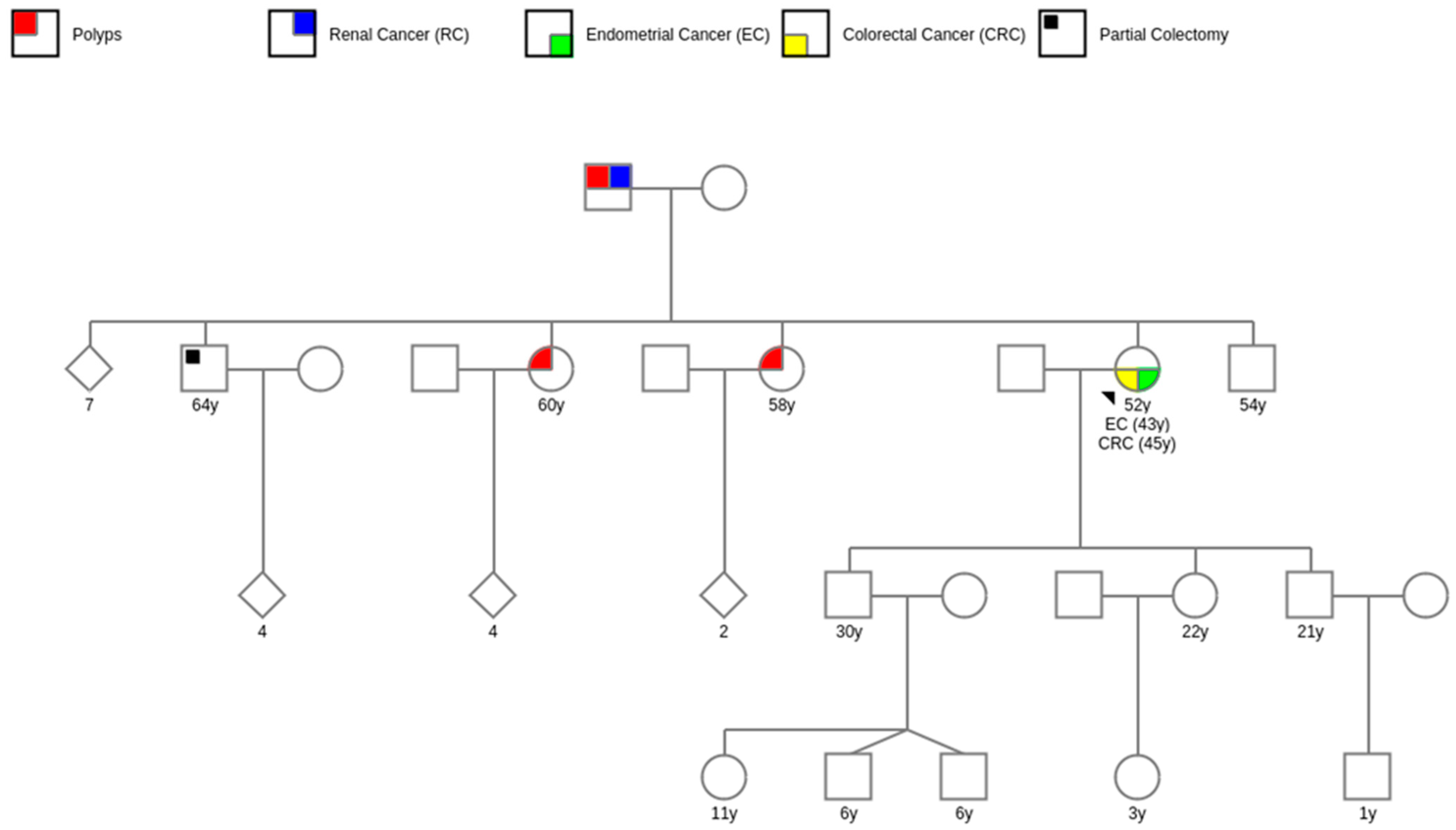 Genes 14 01999 g002 Genes 14 01999 g002
