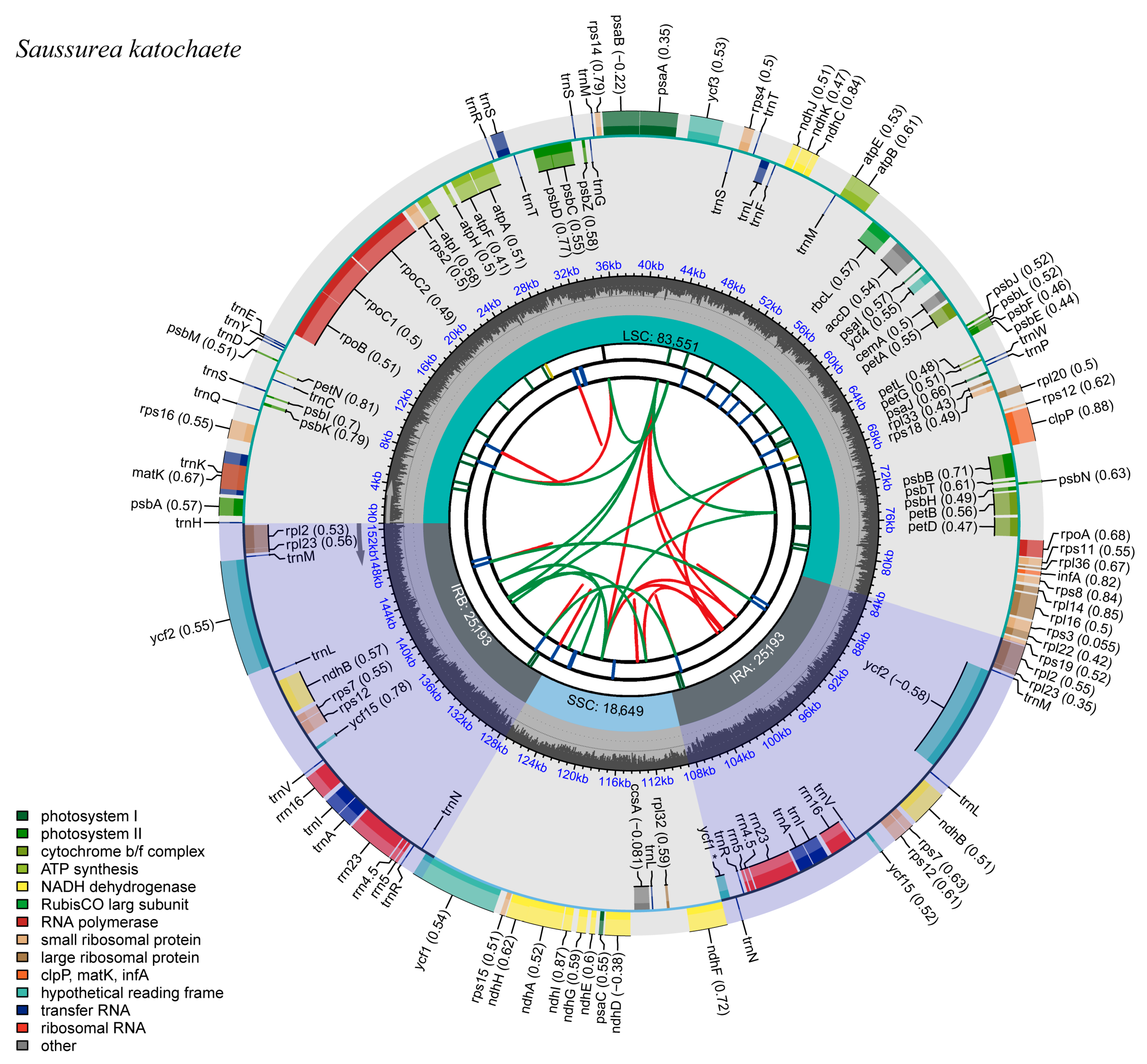 Genes 14 02002 g001