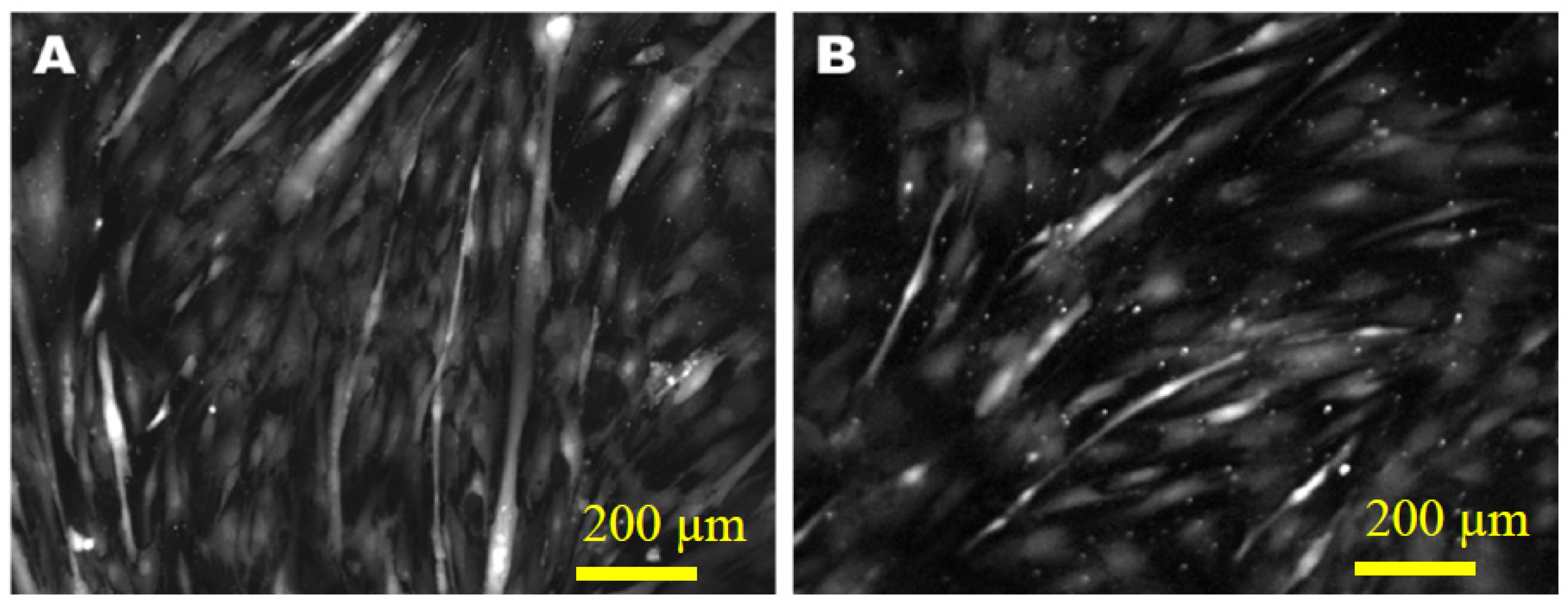 Genes 14 02009 g001 Genes 14 02009 g001