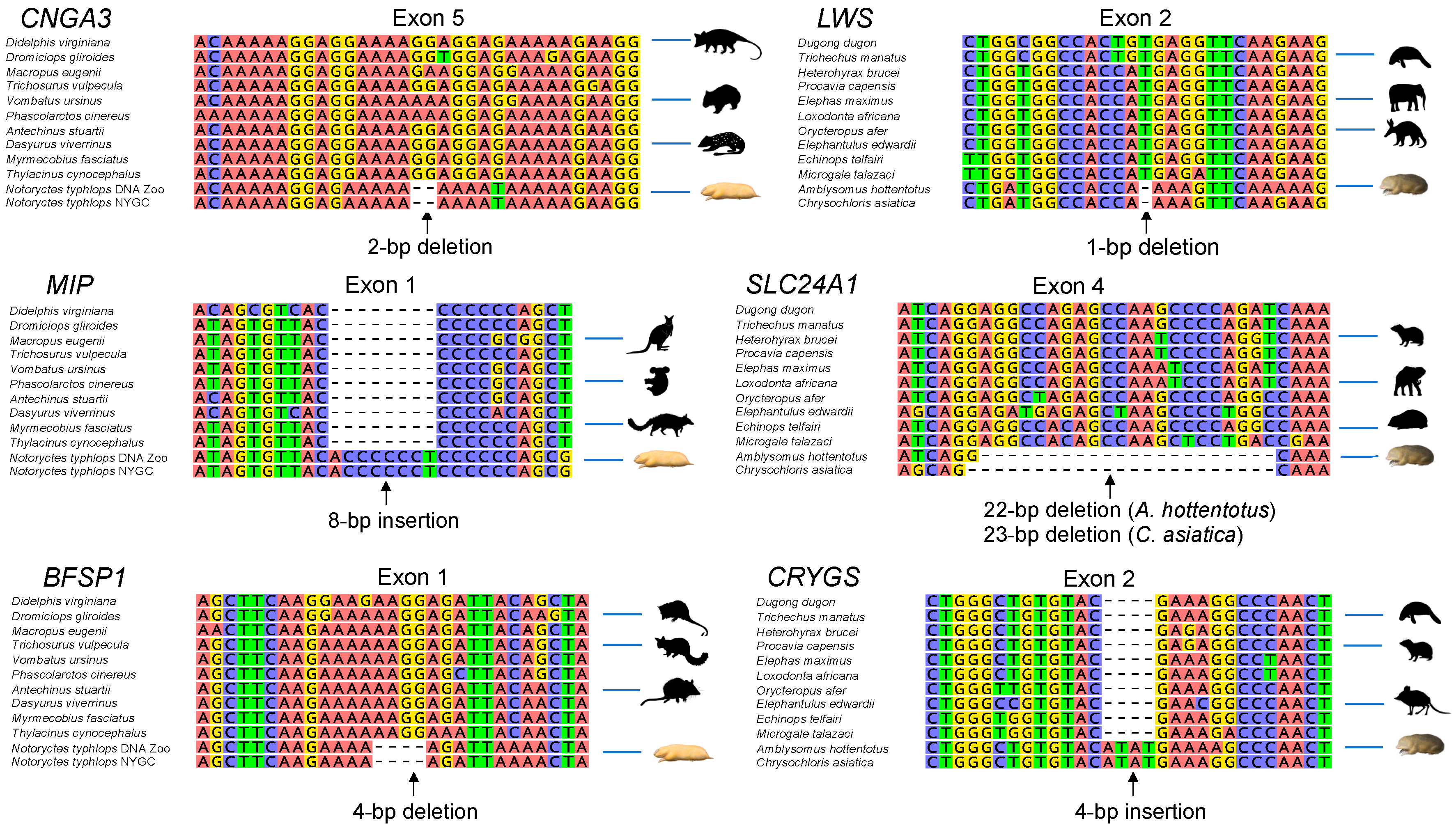 Genes 14 02018 g003 Genes 14 02018 g003