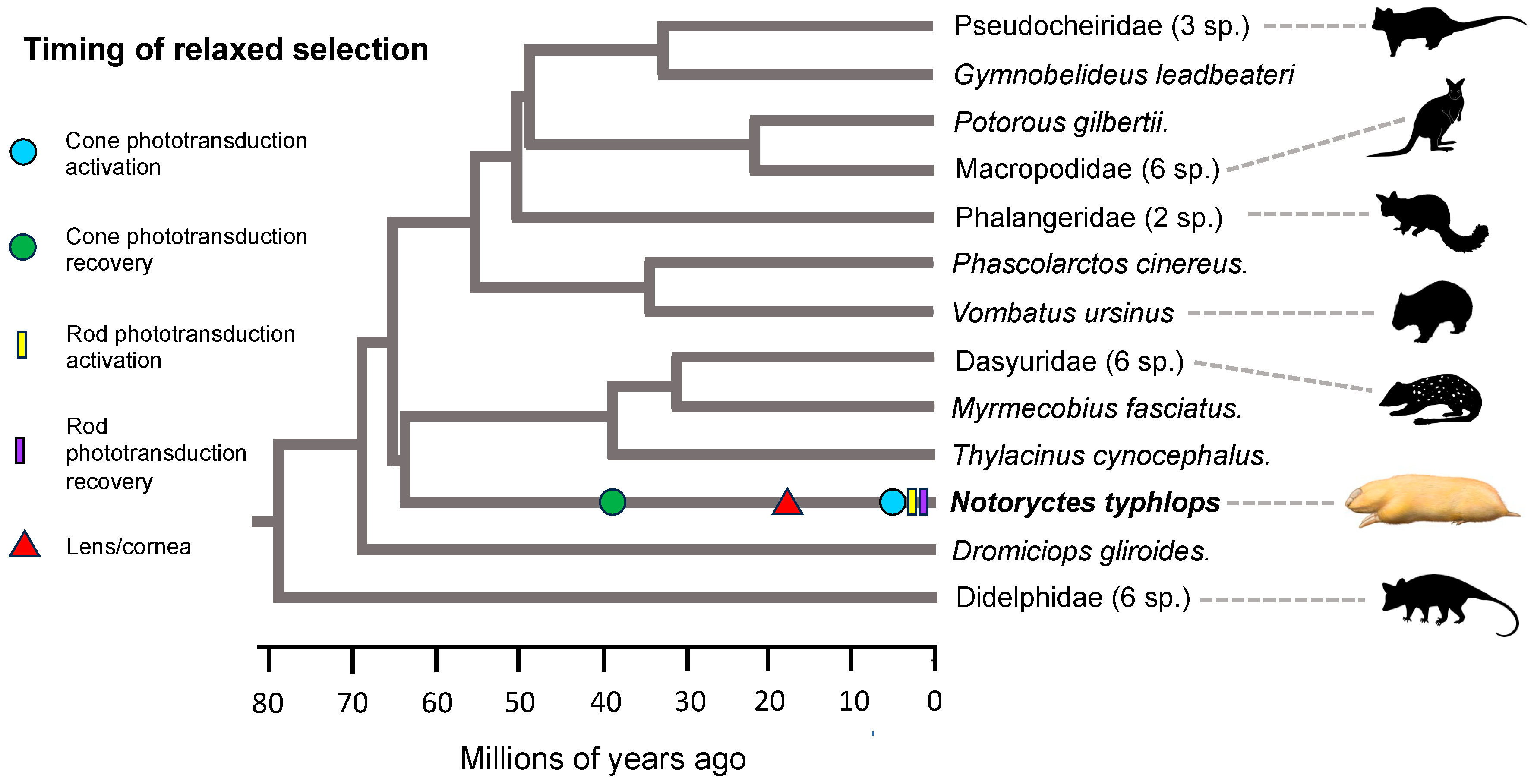 Genes 14 02018 g004 Genes 14 02018 g004