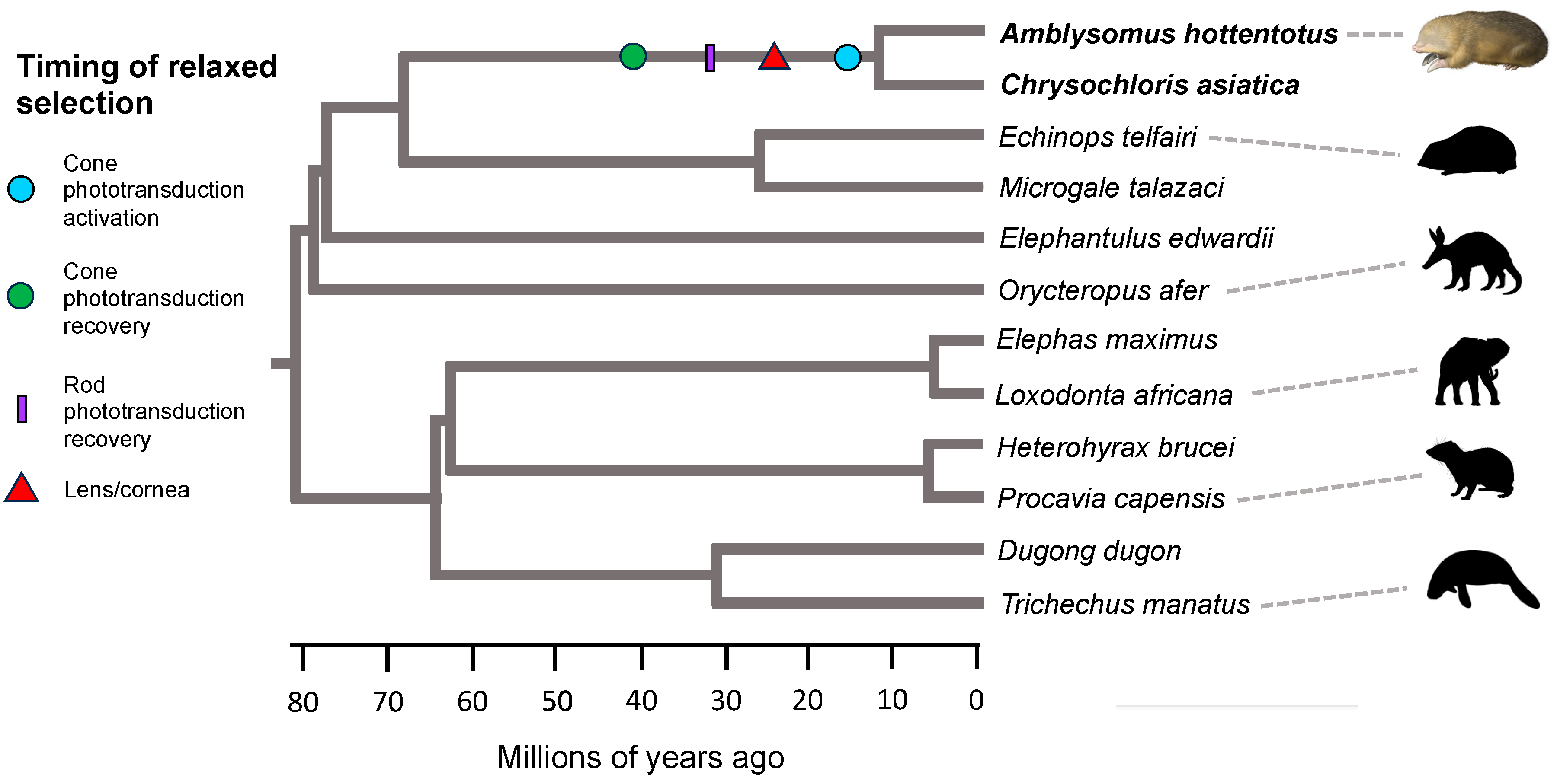 Genes 14 02018 g005 Genes 14 02018 g005
