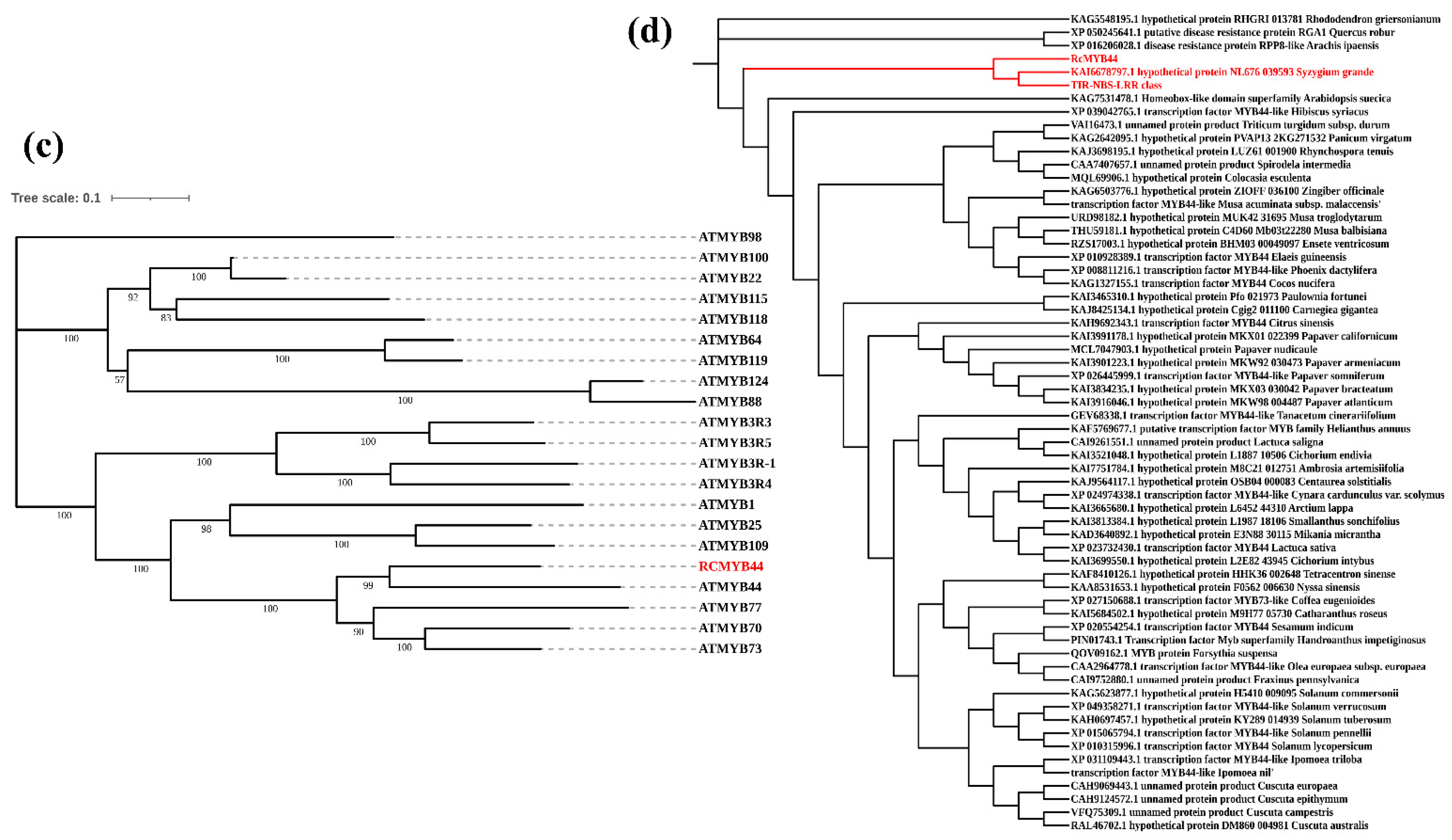 Genes 14 02022 g002b
