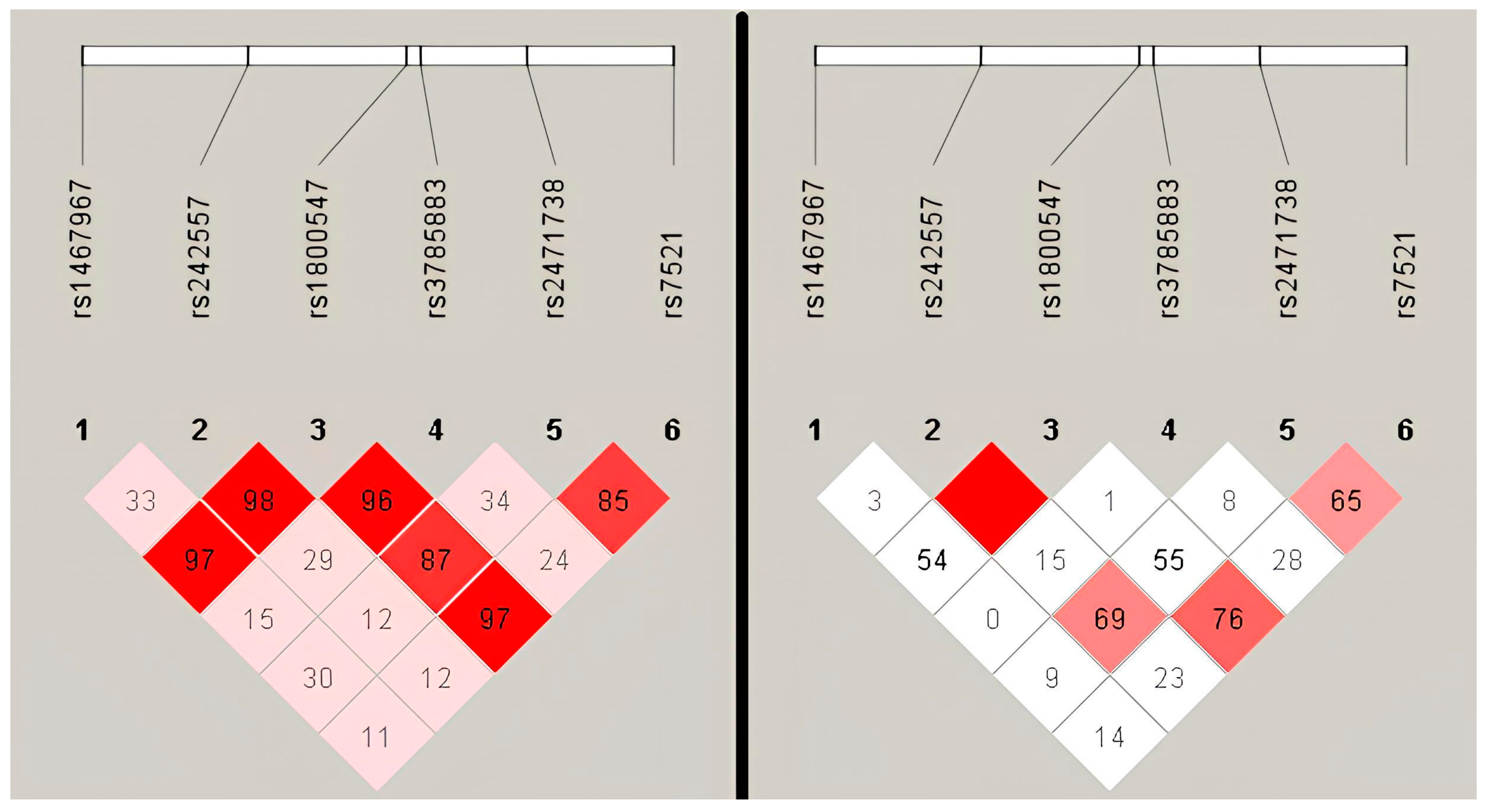 Genes 14 02023 g003 Genes 14 02023 g003