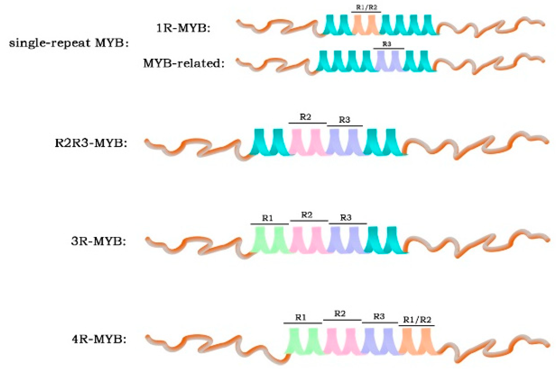 Genes 14 02026 g001 Genes 14 02026 g001