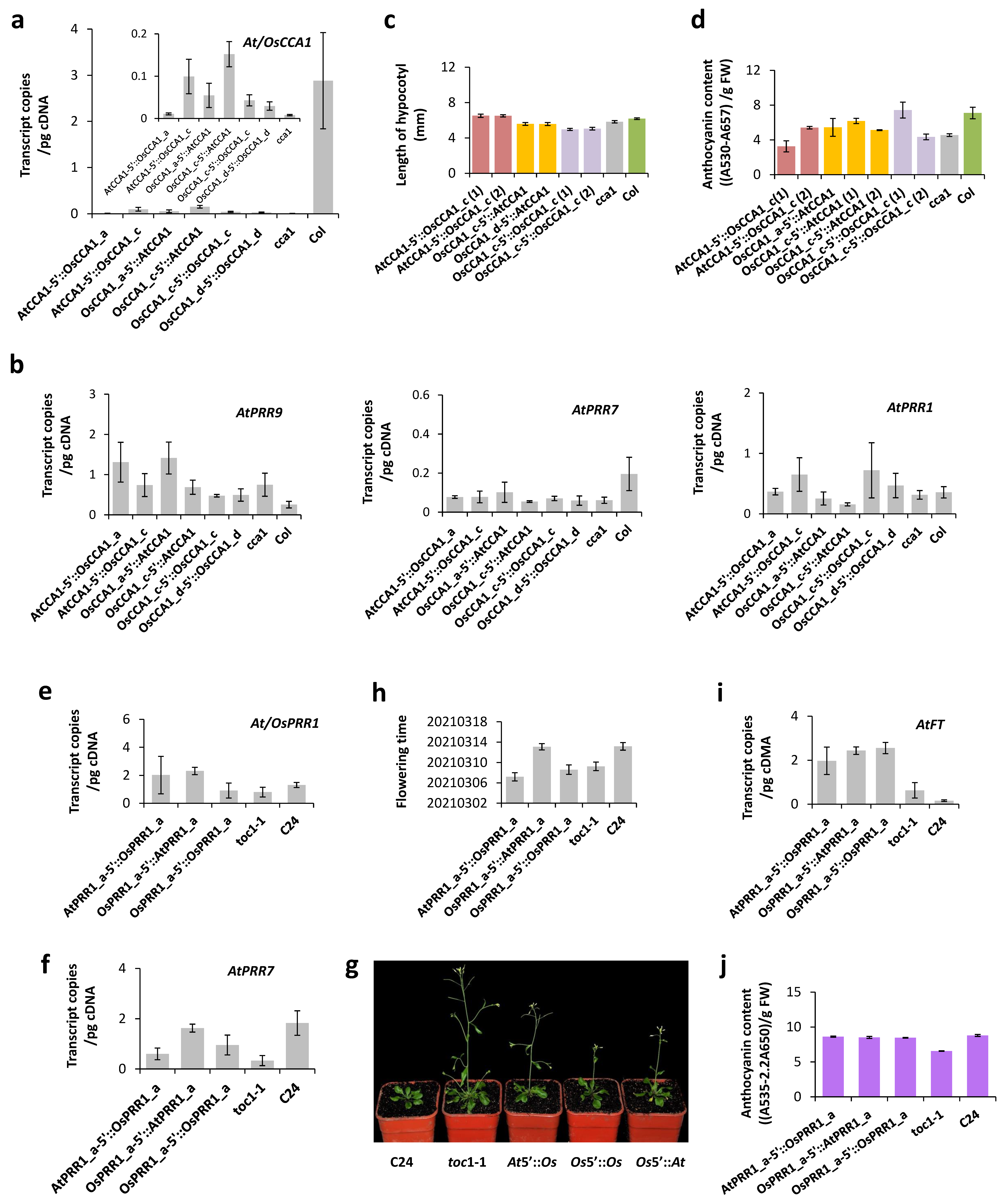 Genes 14 02027 g006 Genes 14 02027 g006
