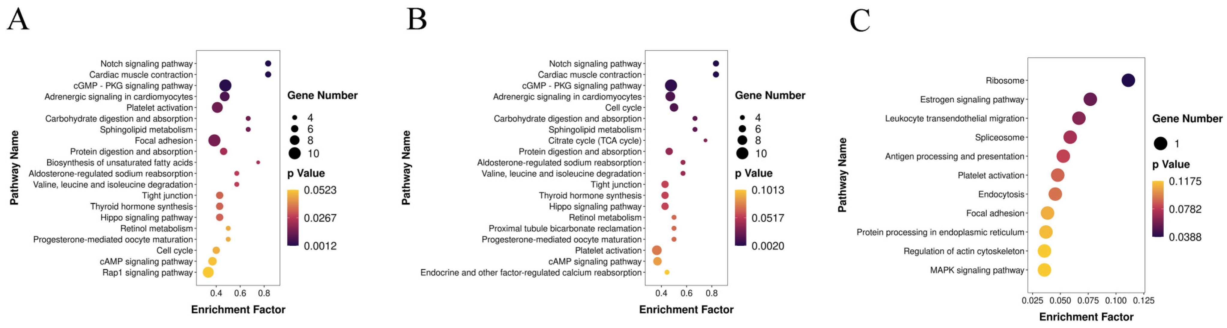 Genes 14 02034 g006 Genes 14 02034 g006