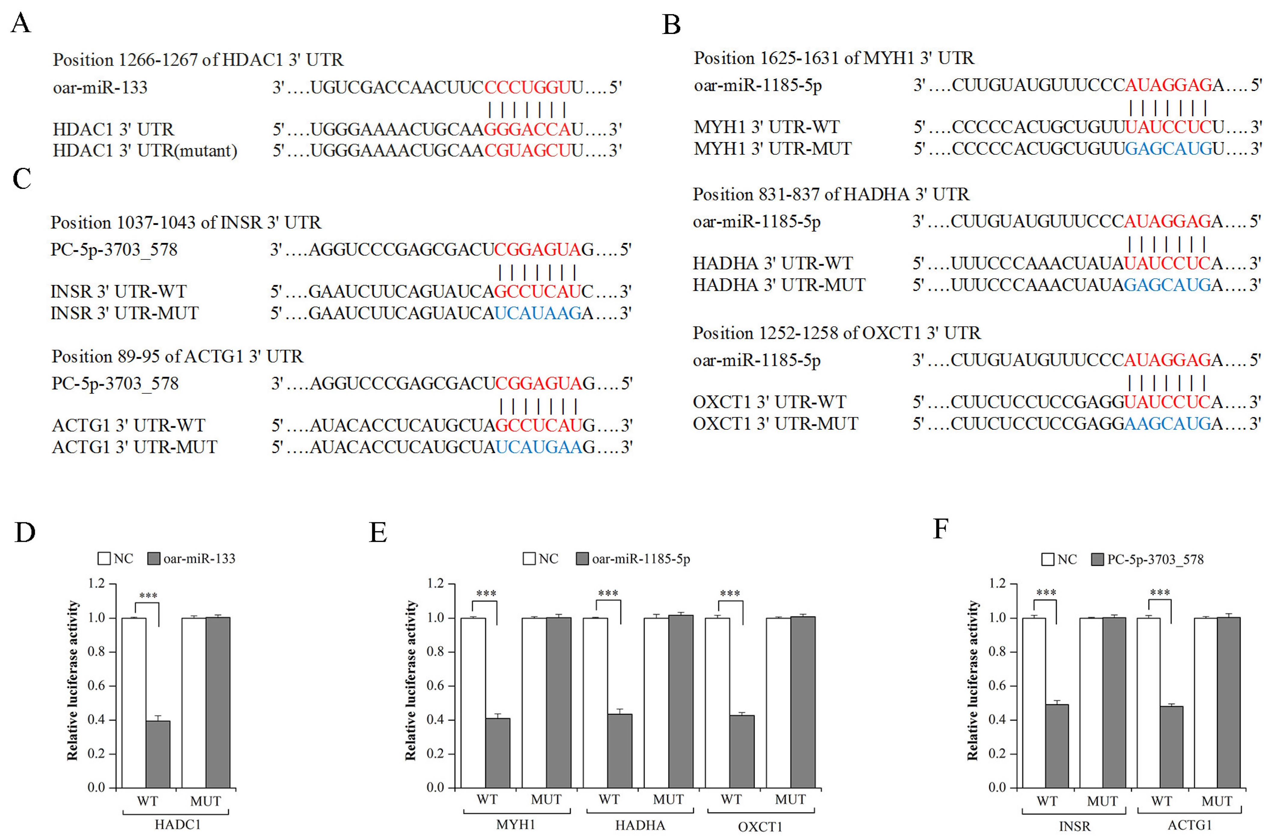 Genes 14 02034 g008 Genes 14 02034 g008