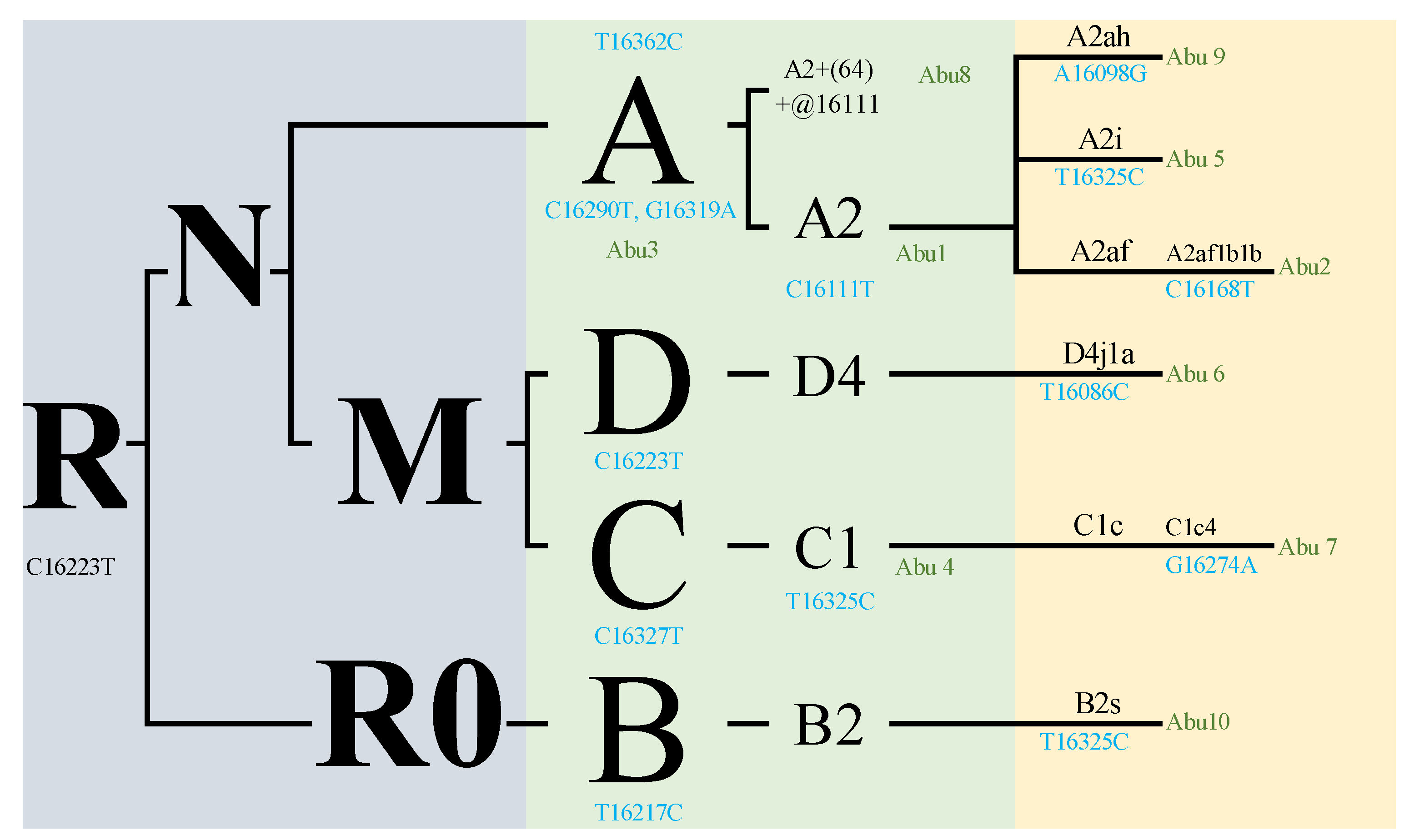 Genes 14 02036 g002 Genes 14 02036 g002