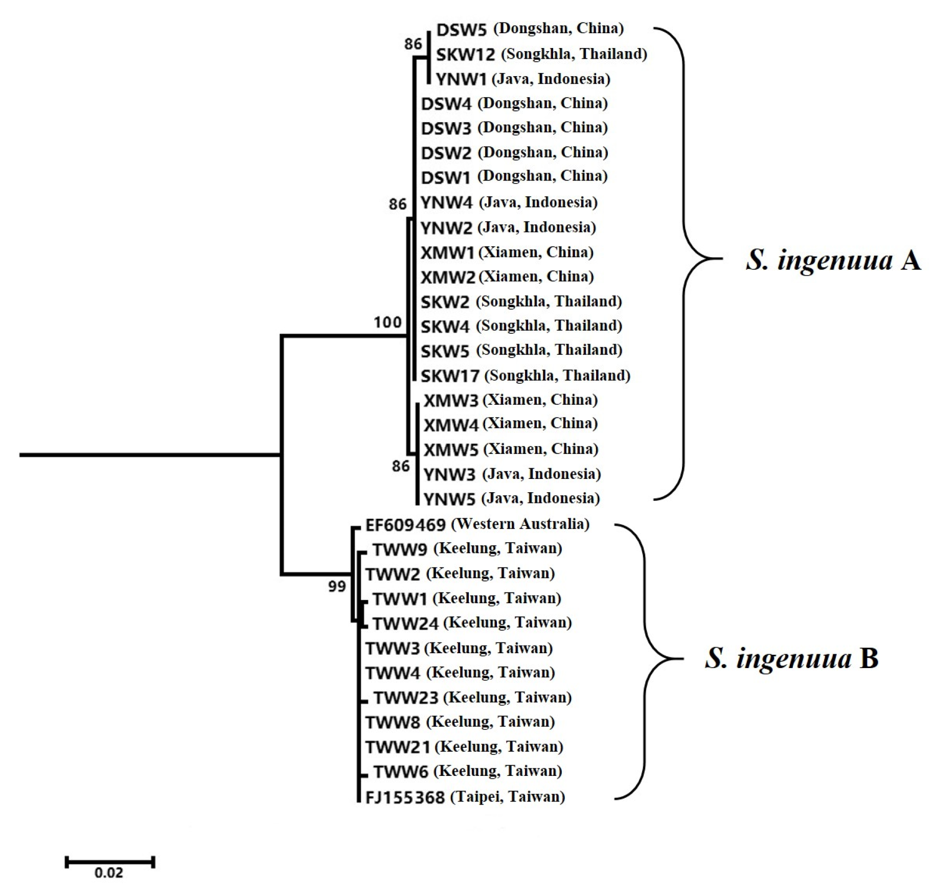 Genes 14 02043 g003 Genes 14 02043 g003