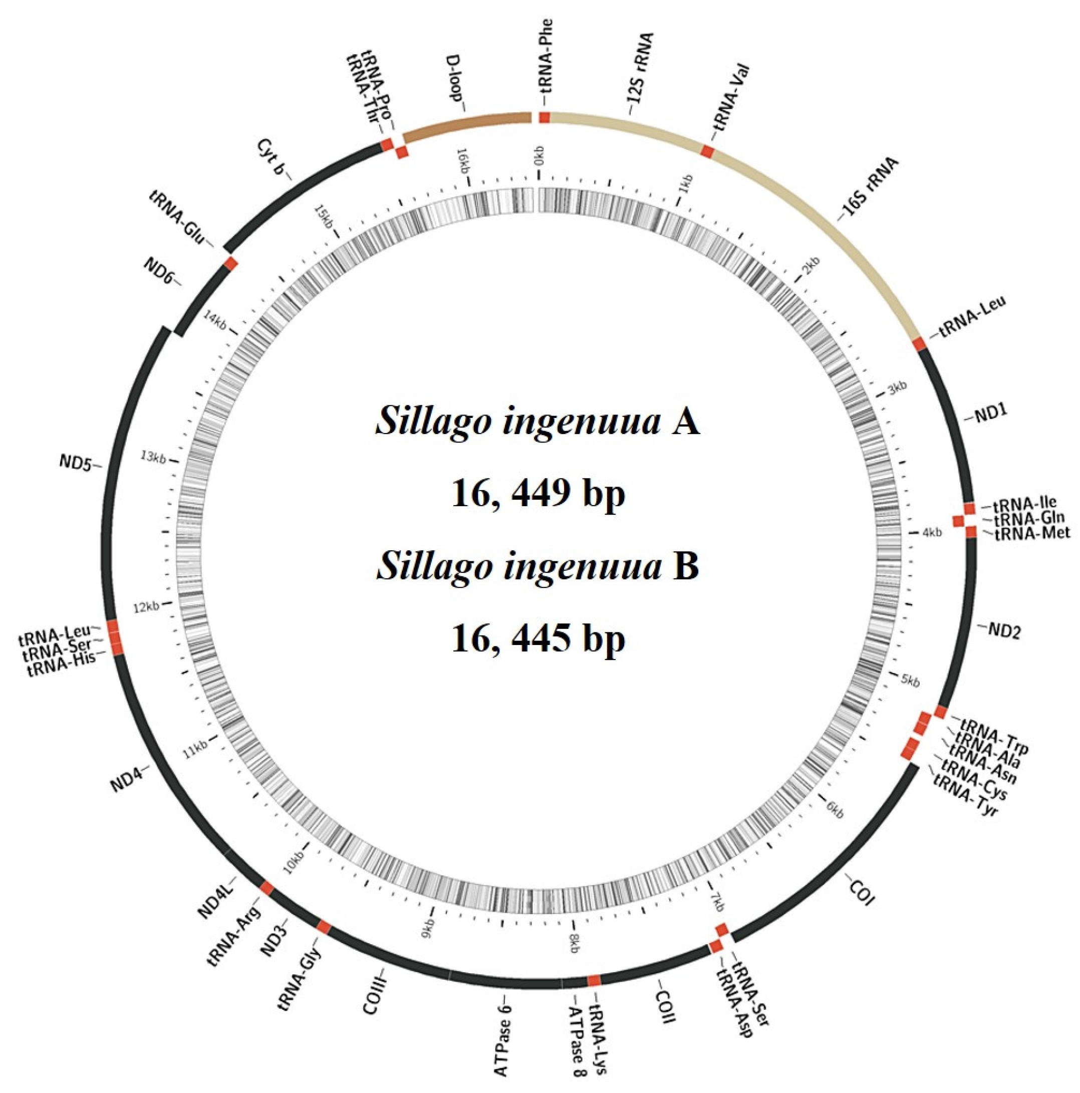Genes 14 02043 g004 Genes 14 02043 g004