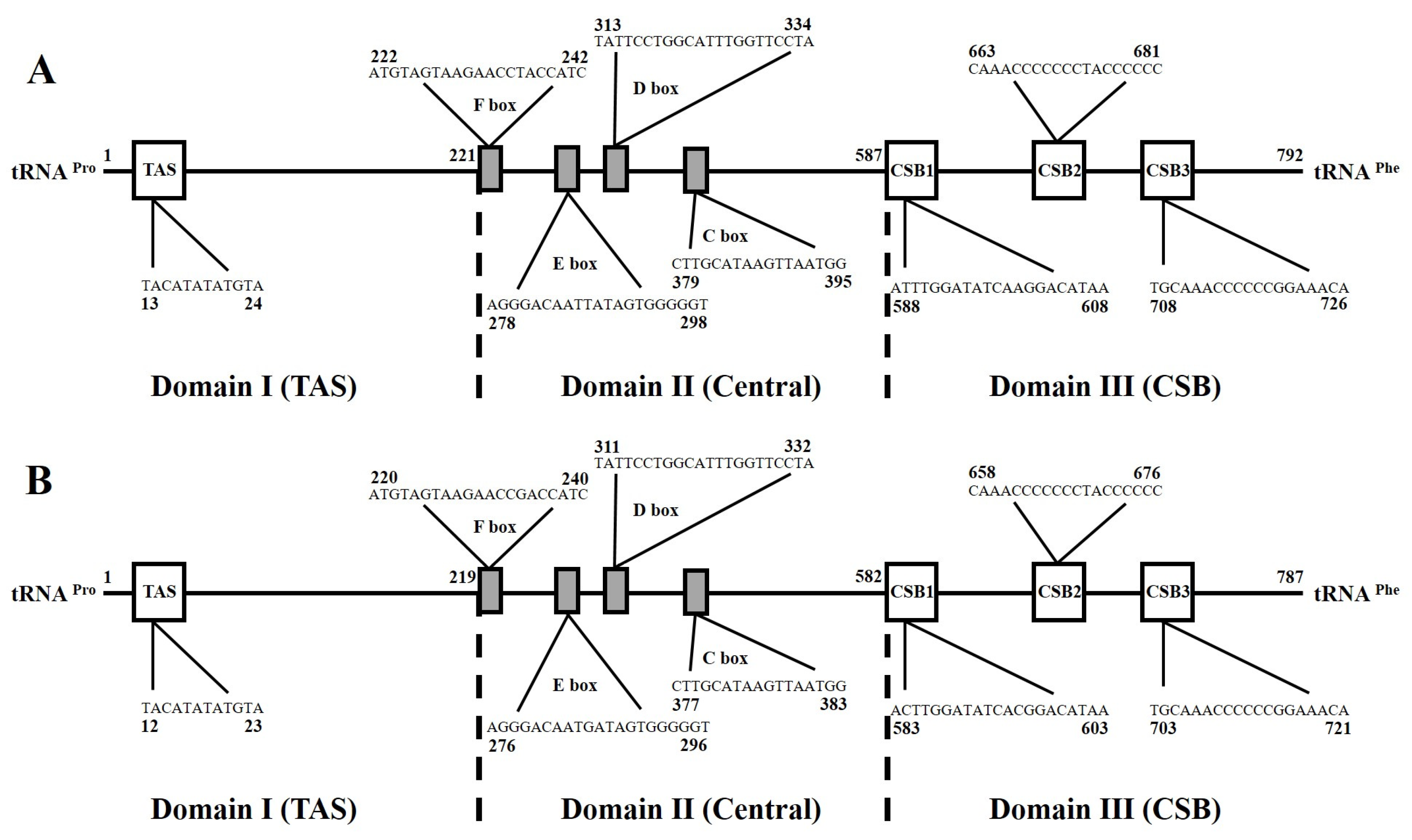 Genes 14 02043 g006 Genes 14 02043 g006