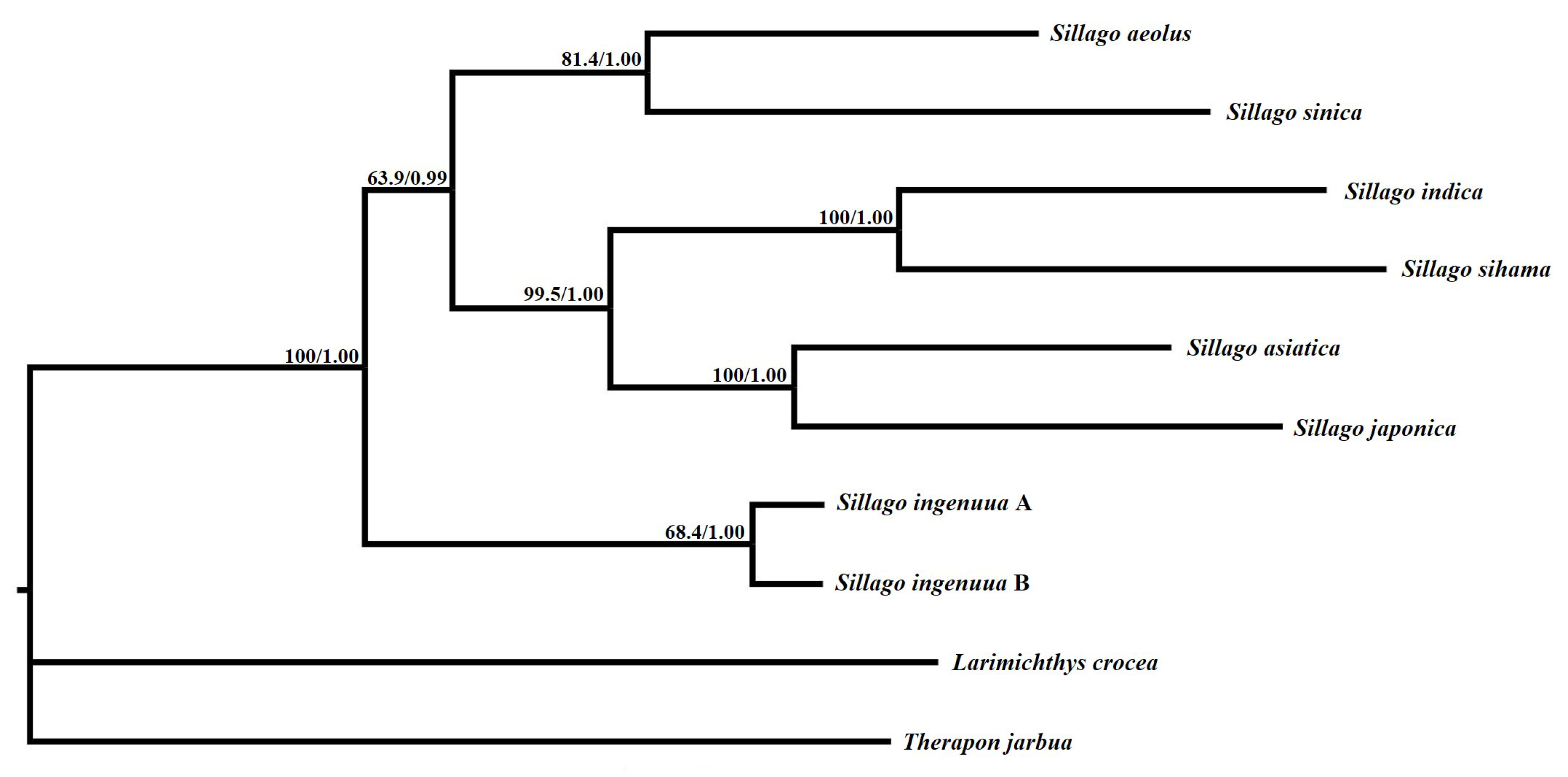 Genes 14 02043 g007 Genes 14 02043 g007