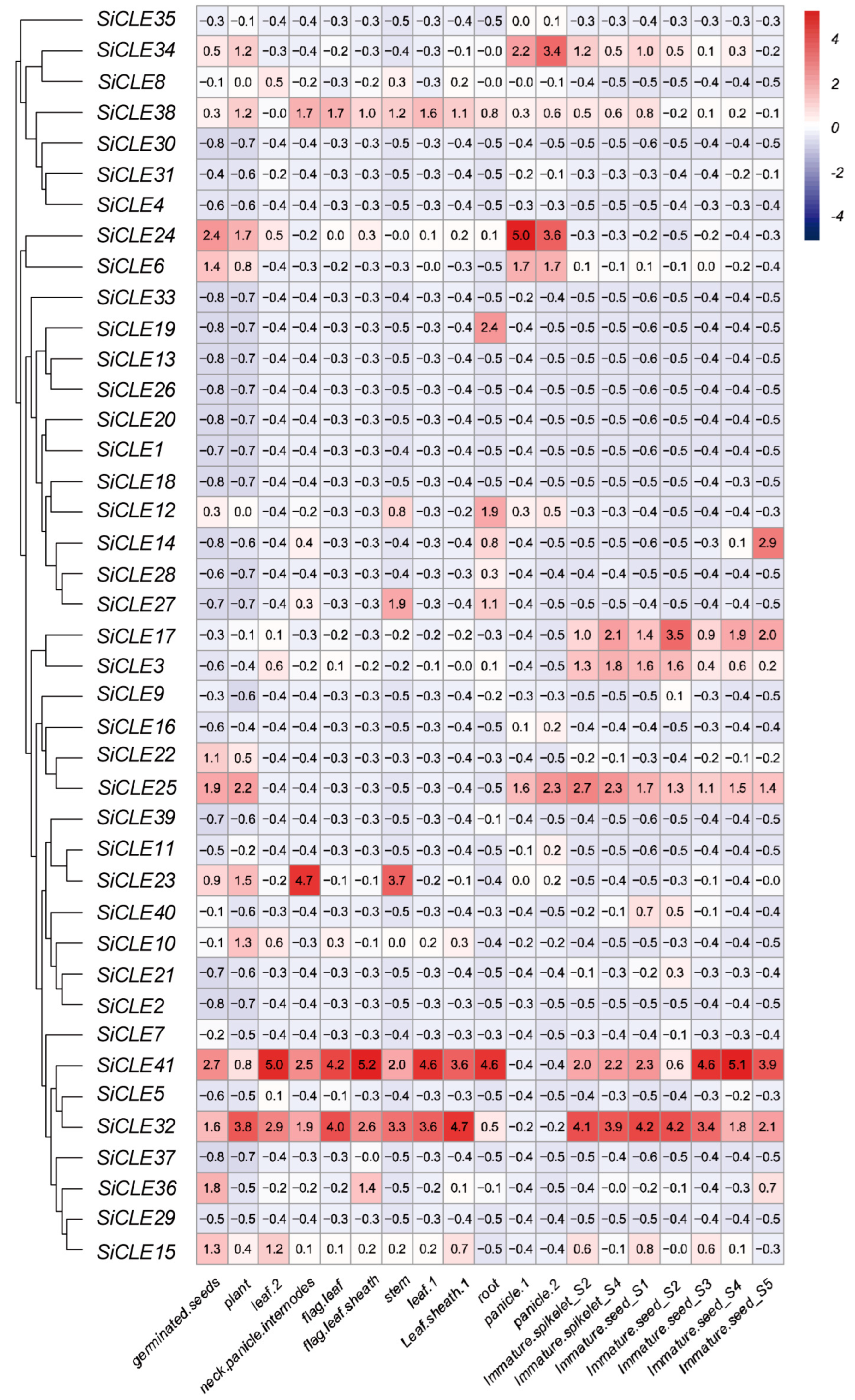 Genome-Wide Identification and Characterization of CLAVATA3/EMBRYO