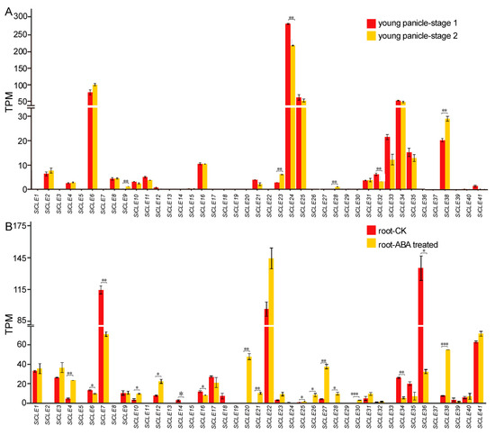 Rafli prasastihatomiページ Genome-Wide Identification and Characterization of CLAVATA3