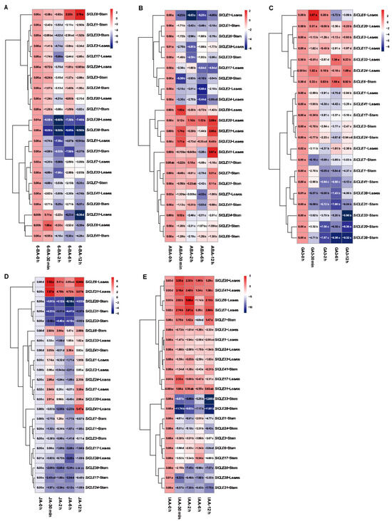 Genome-Wide Identification and Characterization of CLAVATA3/EMBRYO