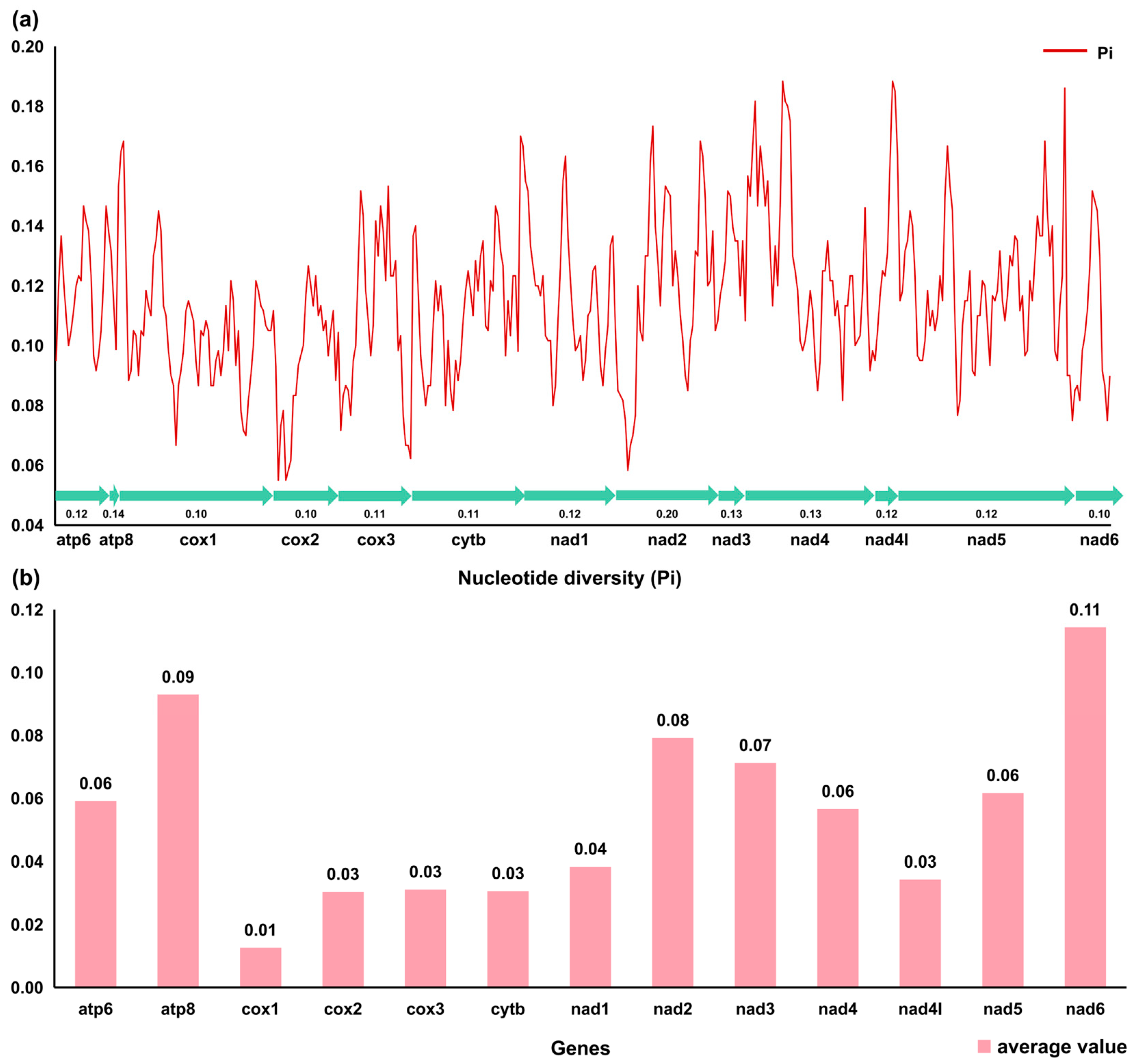 Genes 14 02052 g004 Genes 14 02052 g004