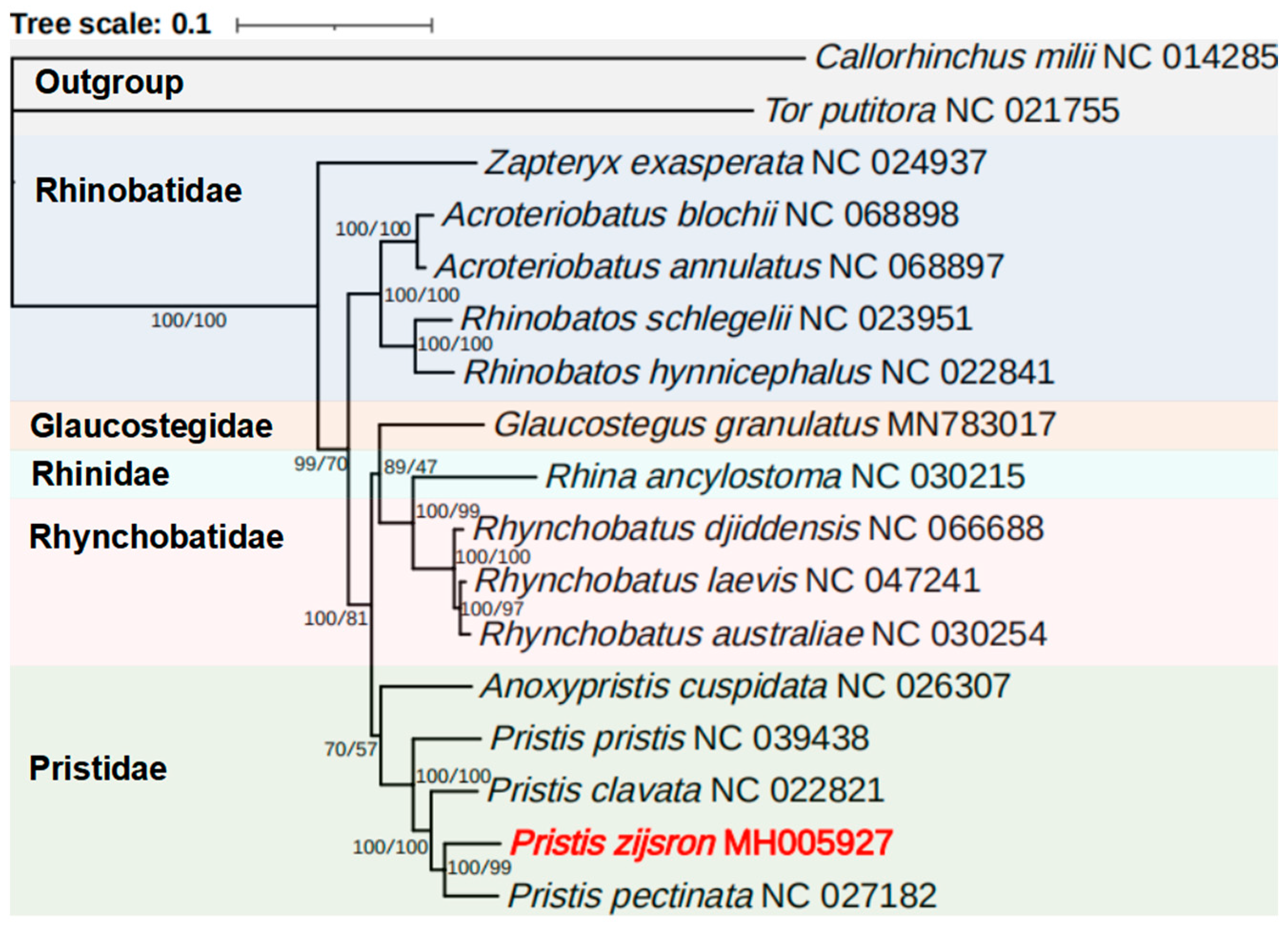 Genes 14 02052 g005 Genes 14 02052 g005