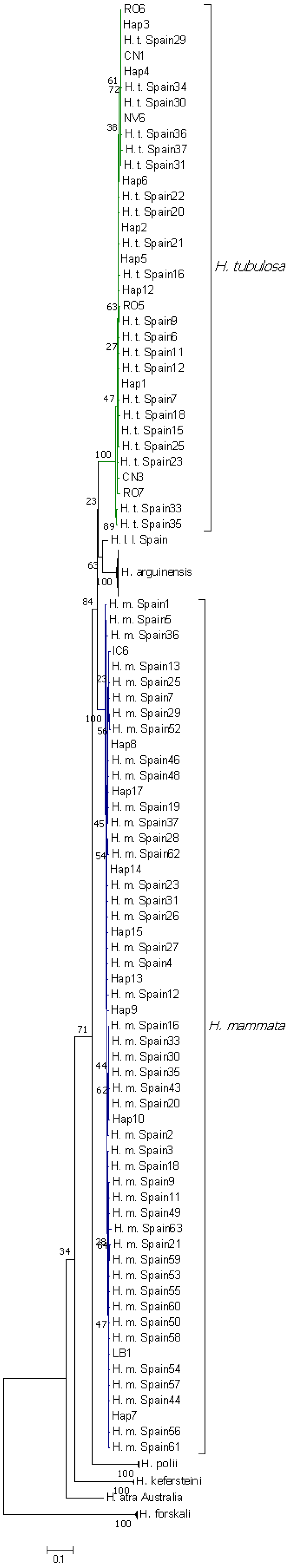 Genes 14 02059 g002