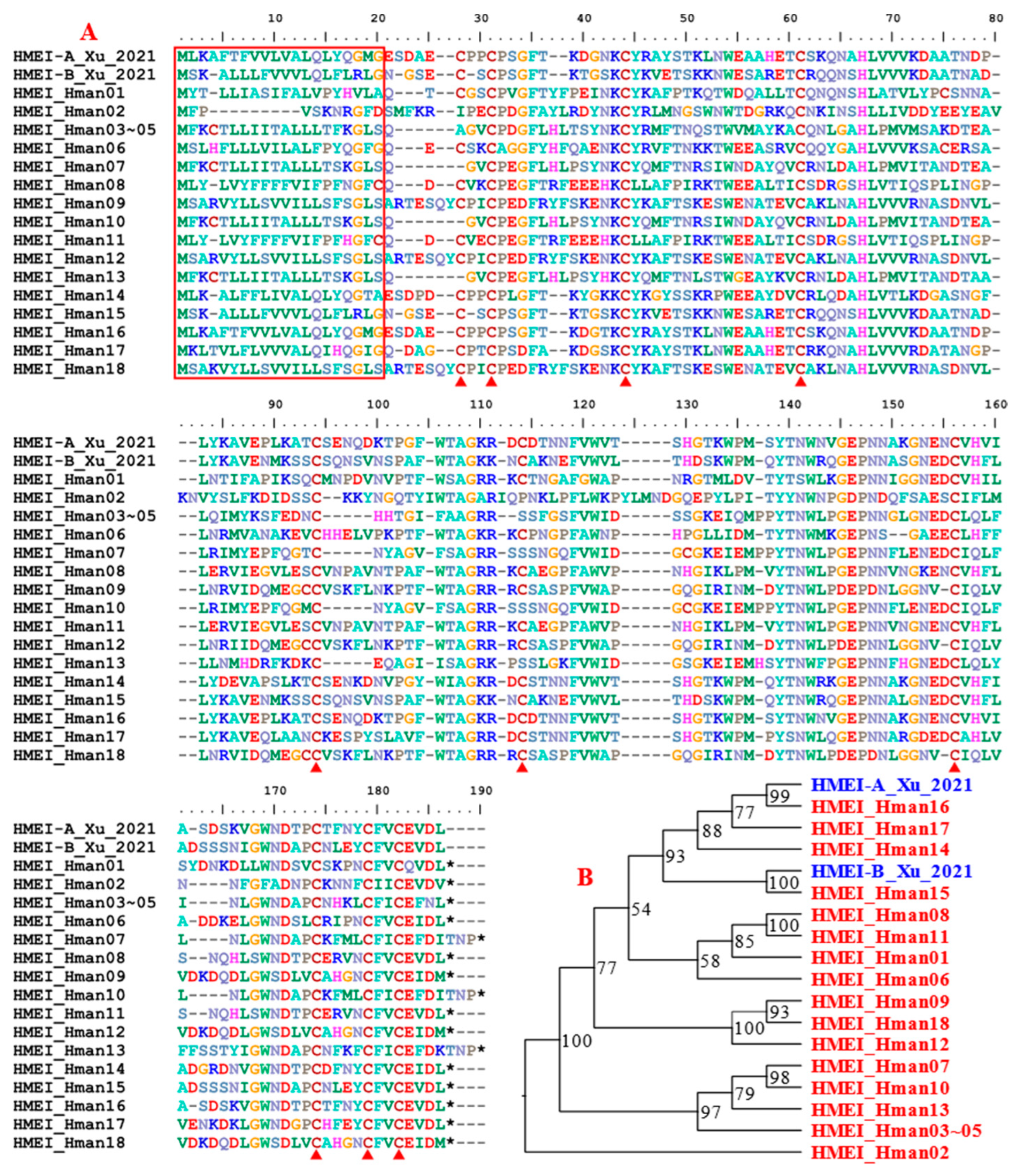 Genes 14 02068 g011