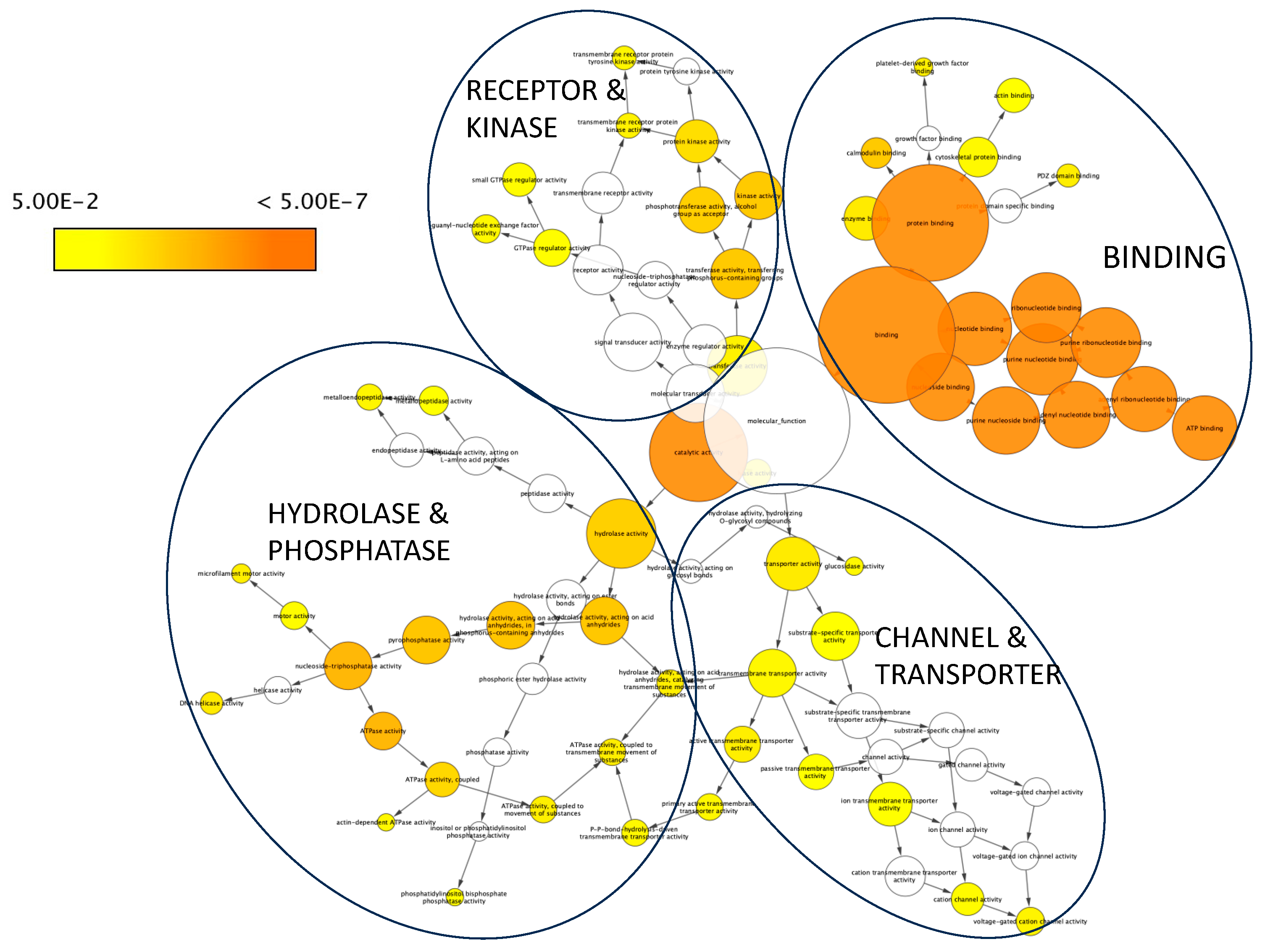 Genes 14 02094 g003 Genes 14 02094 g003