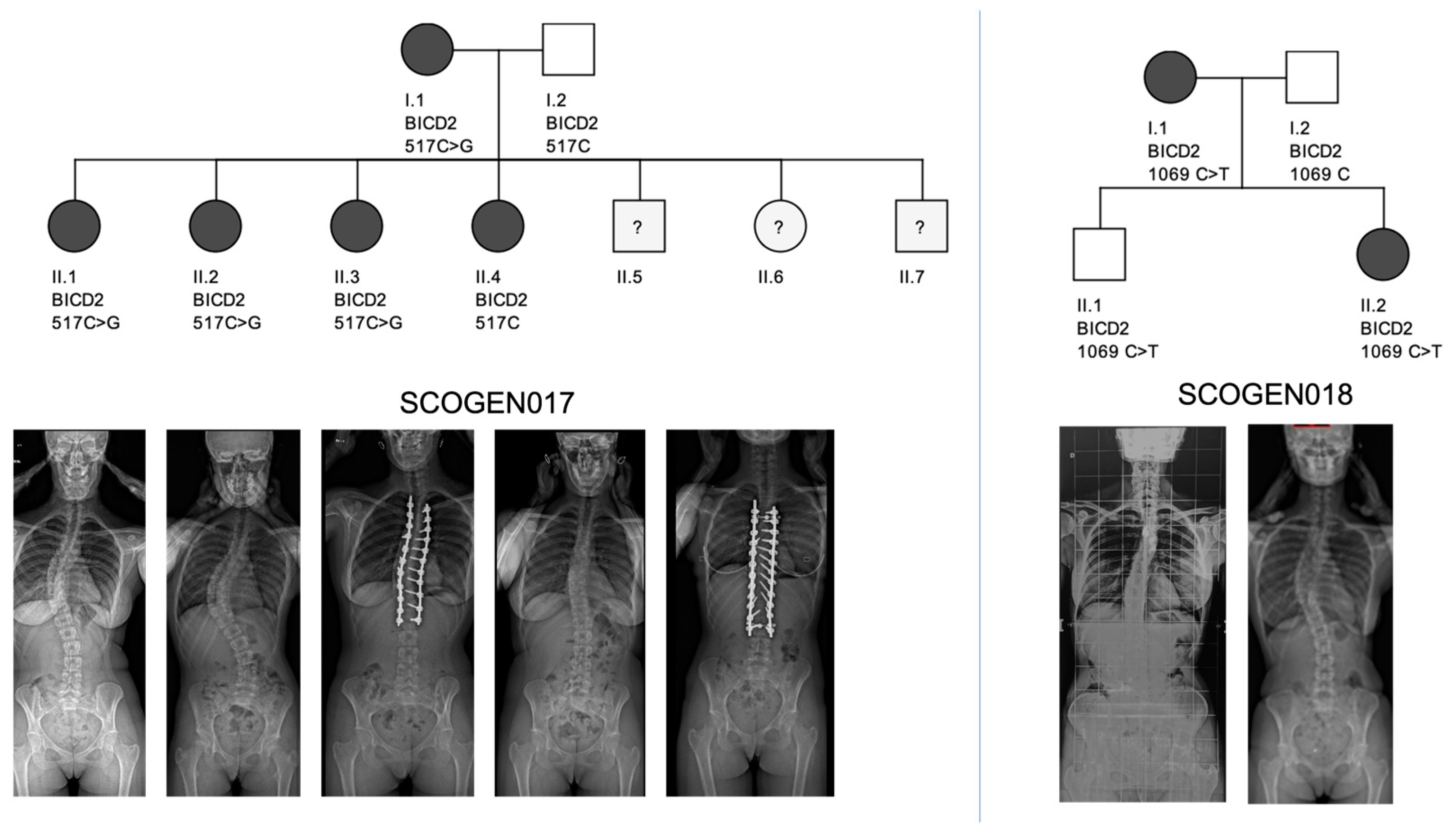 Genes 14 02094 g004 Genes 14 02094 g004