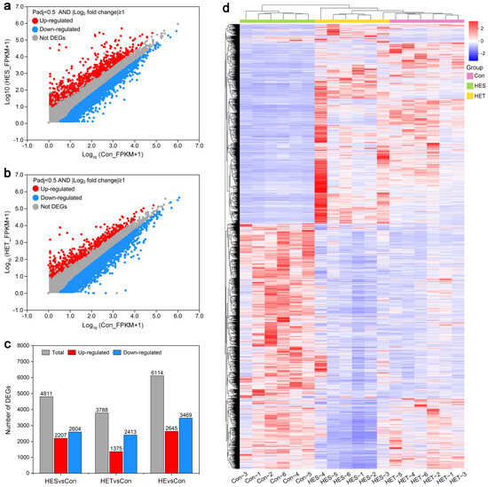 Comparative Transcriptomic Analysis of Largemouth Bass