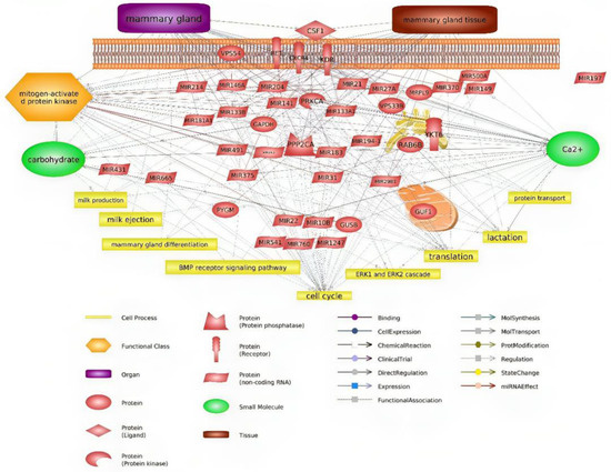 Identification of Hub Genes and Target miRNAs Crucial for Milk ...
