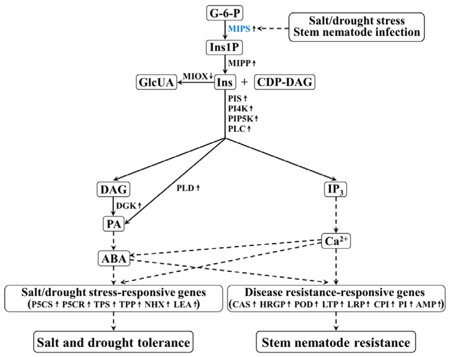 Genes 14 02106 g003 Genes 14 02106 g003