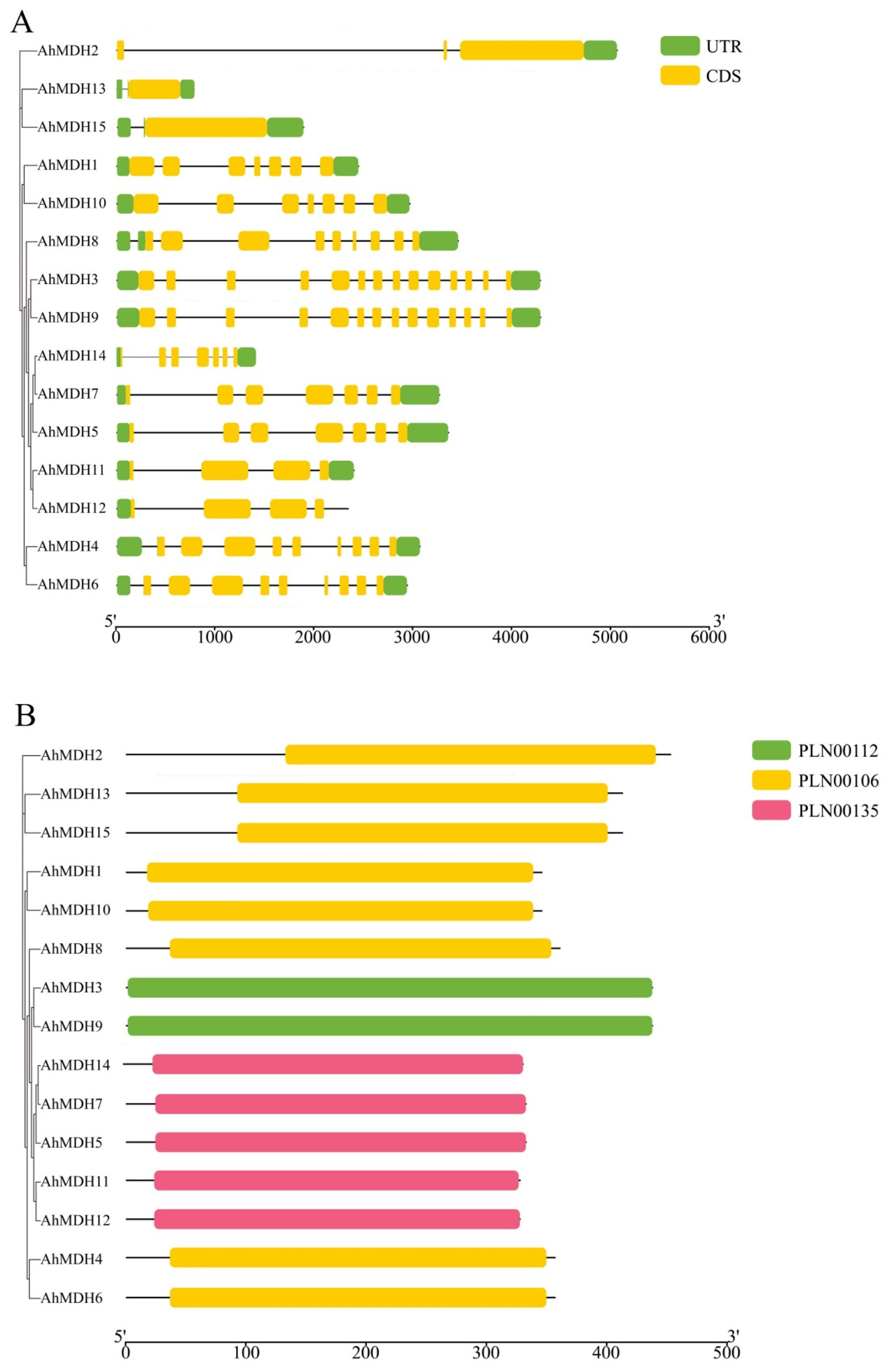 Genes 14 02109 g001 Genes 14 02109 g001