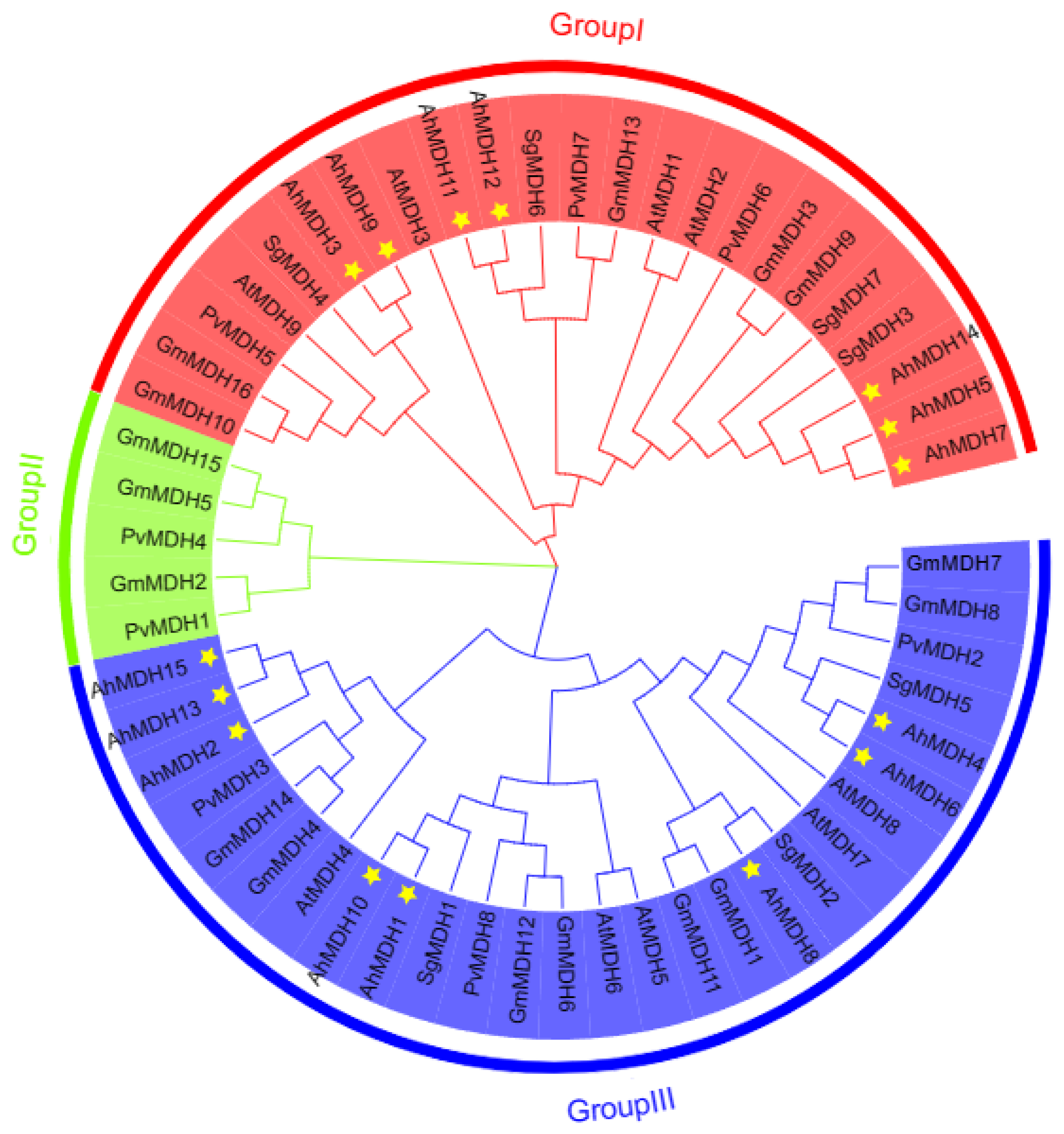 Genes 14 02109 g002 Genes 14 02109 g002