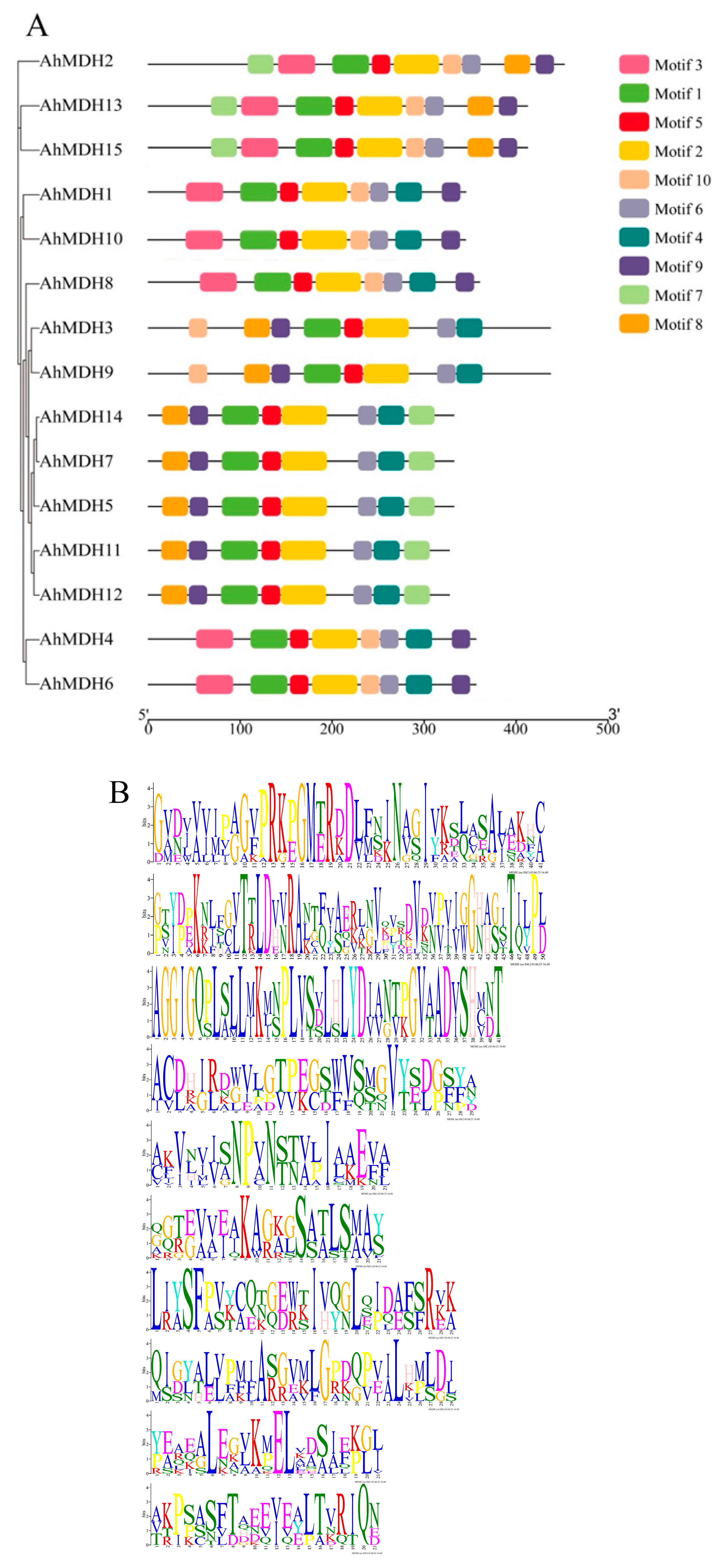 Genes 14 02109 g003 Genes 14 02109 g003