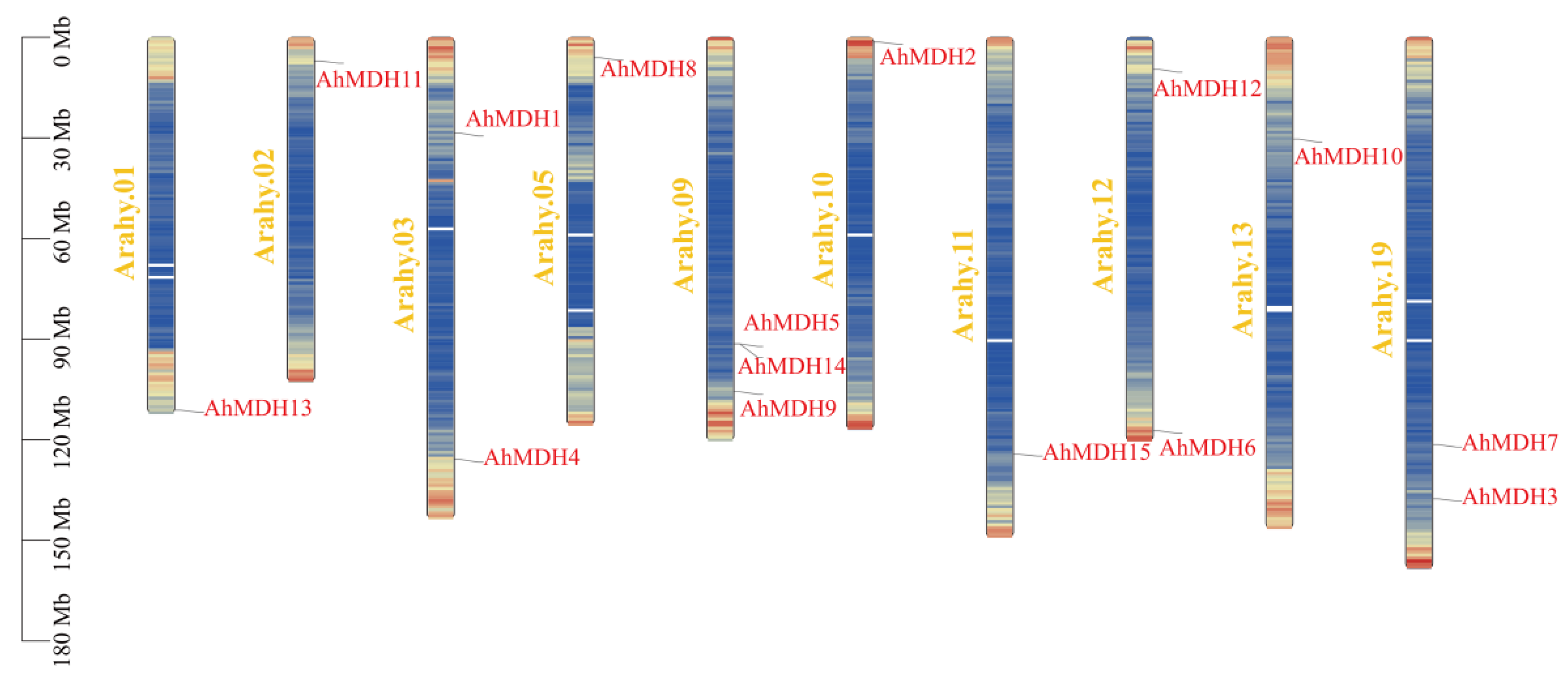 Genes 14 02109 g004 Genes 14 02109 g004