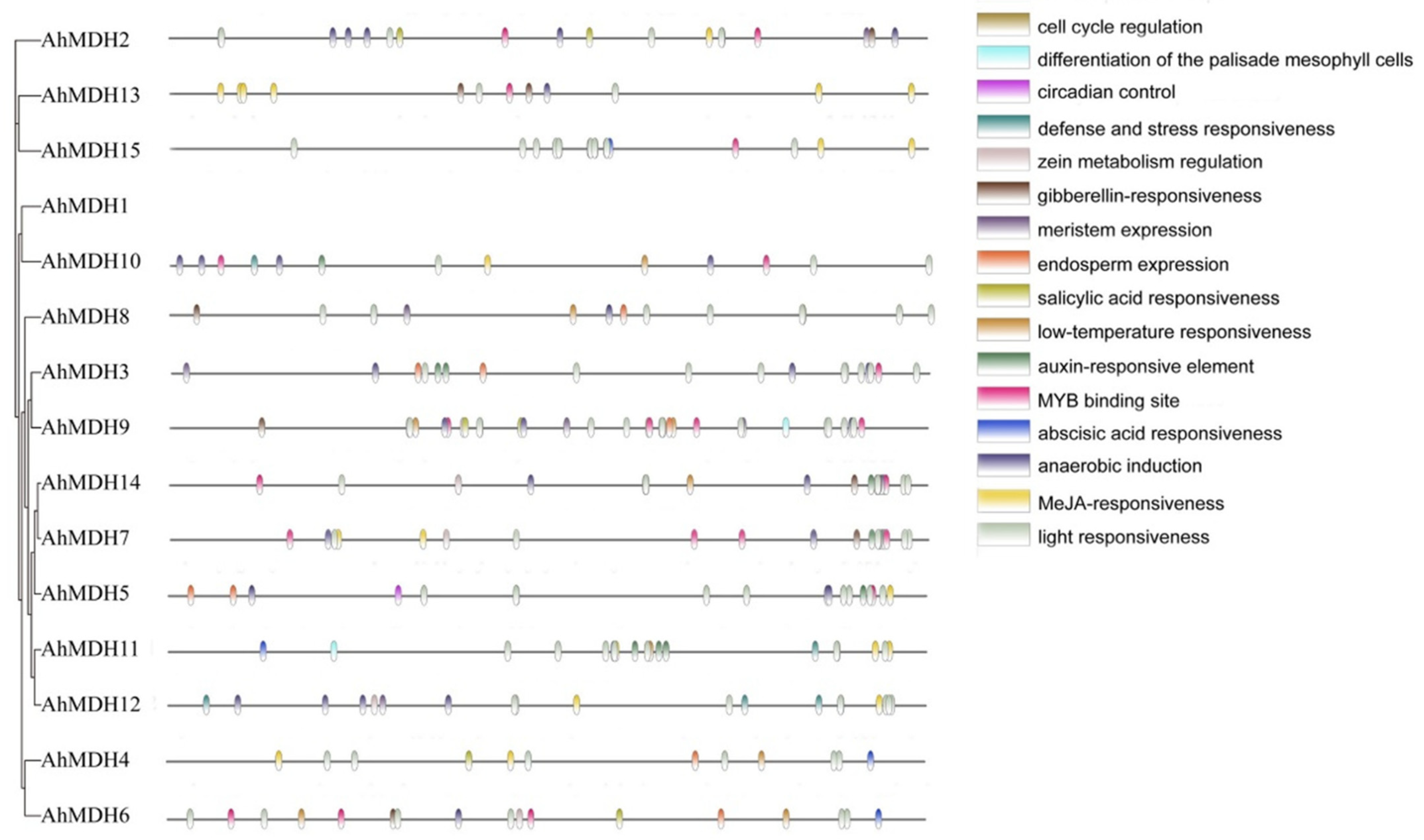 Genes 14 02109 g005 Genes 14 02109 g005