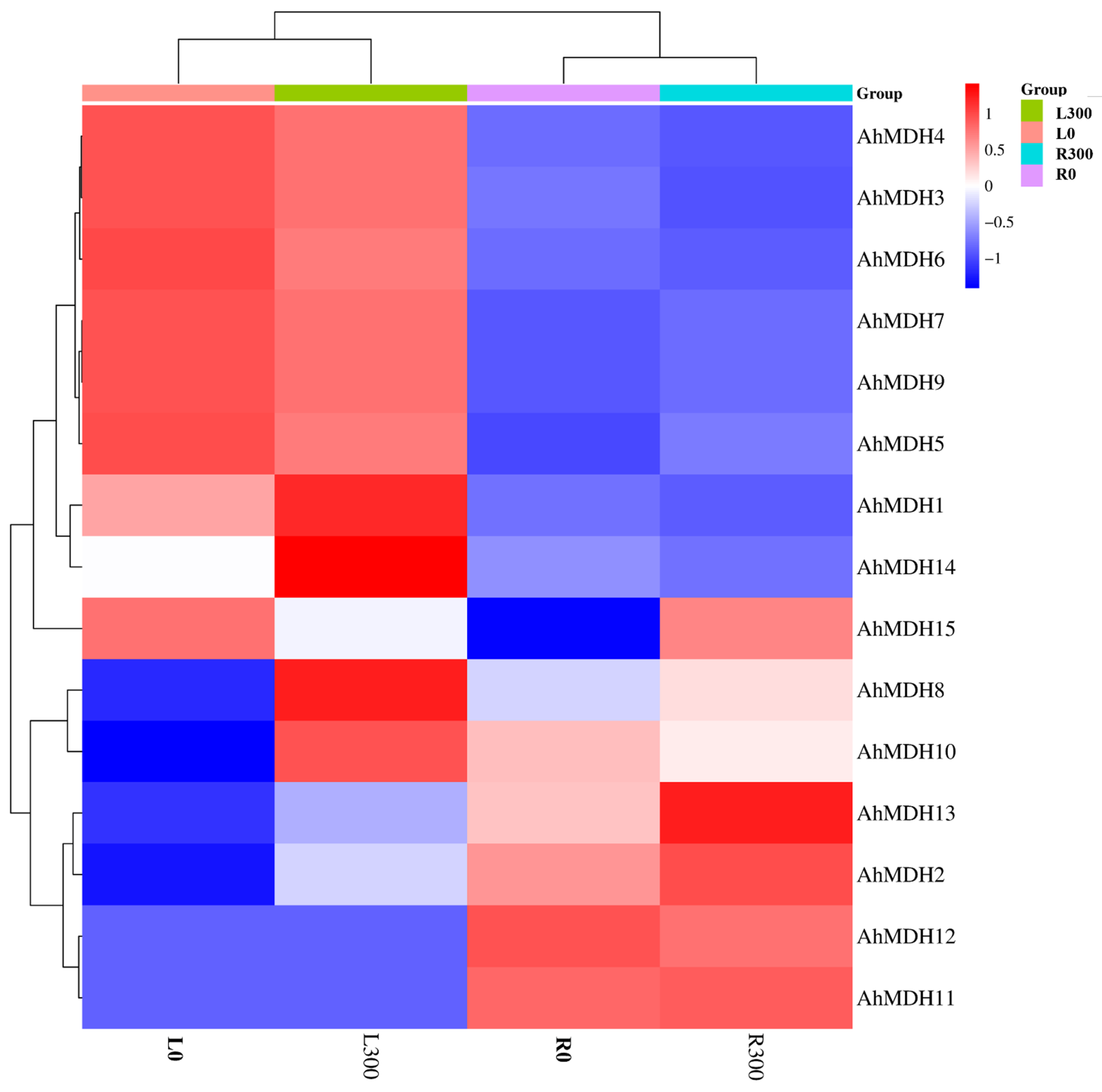 Genes 14 02109 g006 Genes 14 02109 g006
