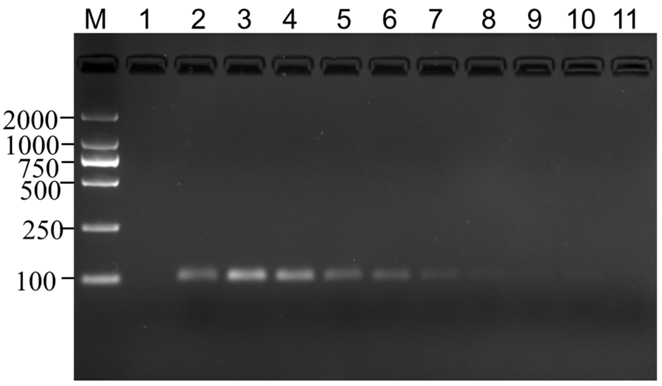 Genes 14 02116 g005
