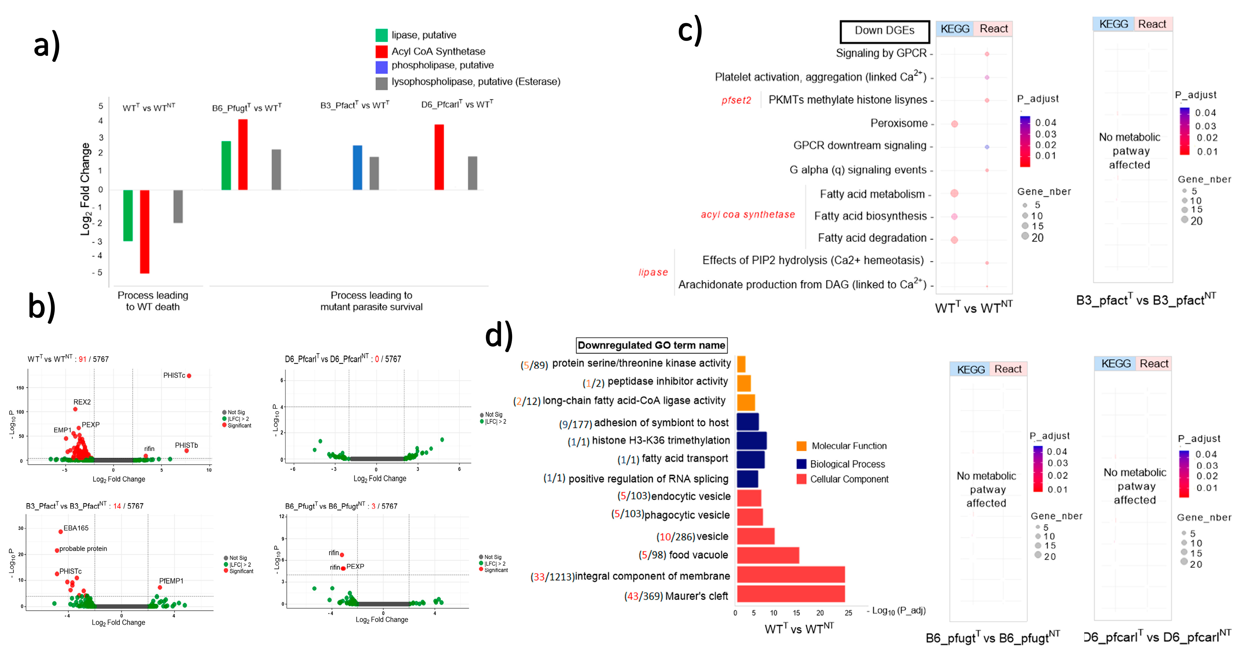 Genes 14 02124 g002 Genes 14 02124 g002