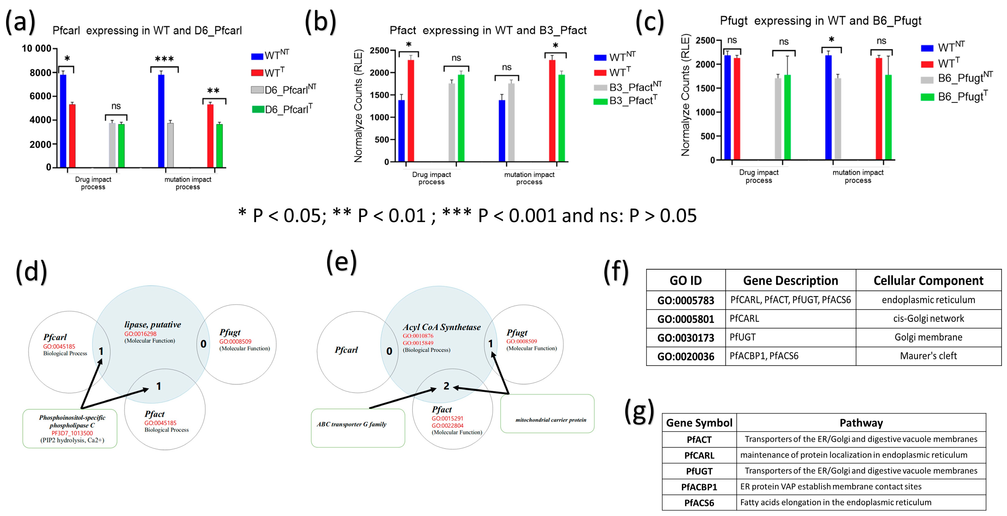 Genes 14 02124 g003 Genes 14 02124 g003