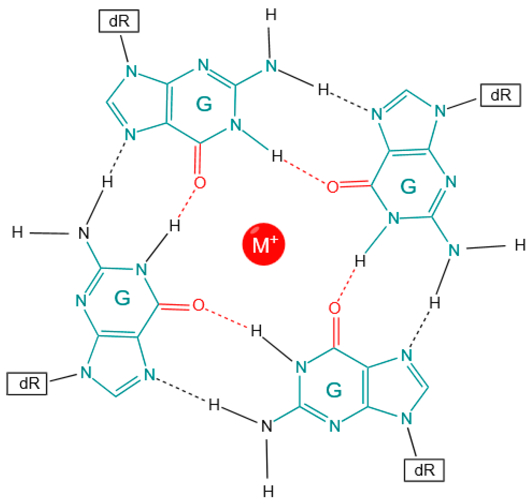 Genes 14 02125 g001 Genes 14 02125 g001