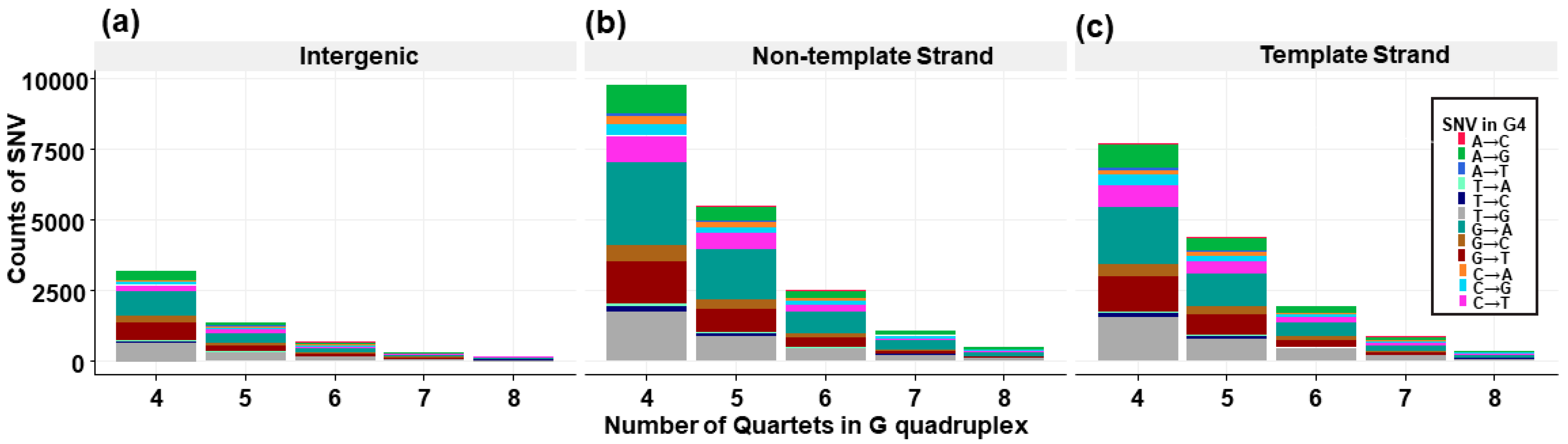 Genes 14 02125 g002 Genes 14 02125 g002