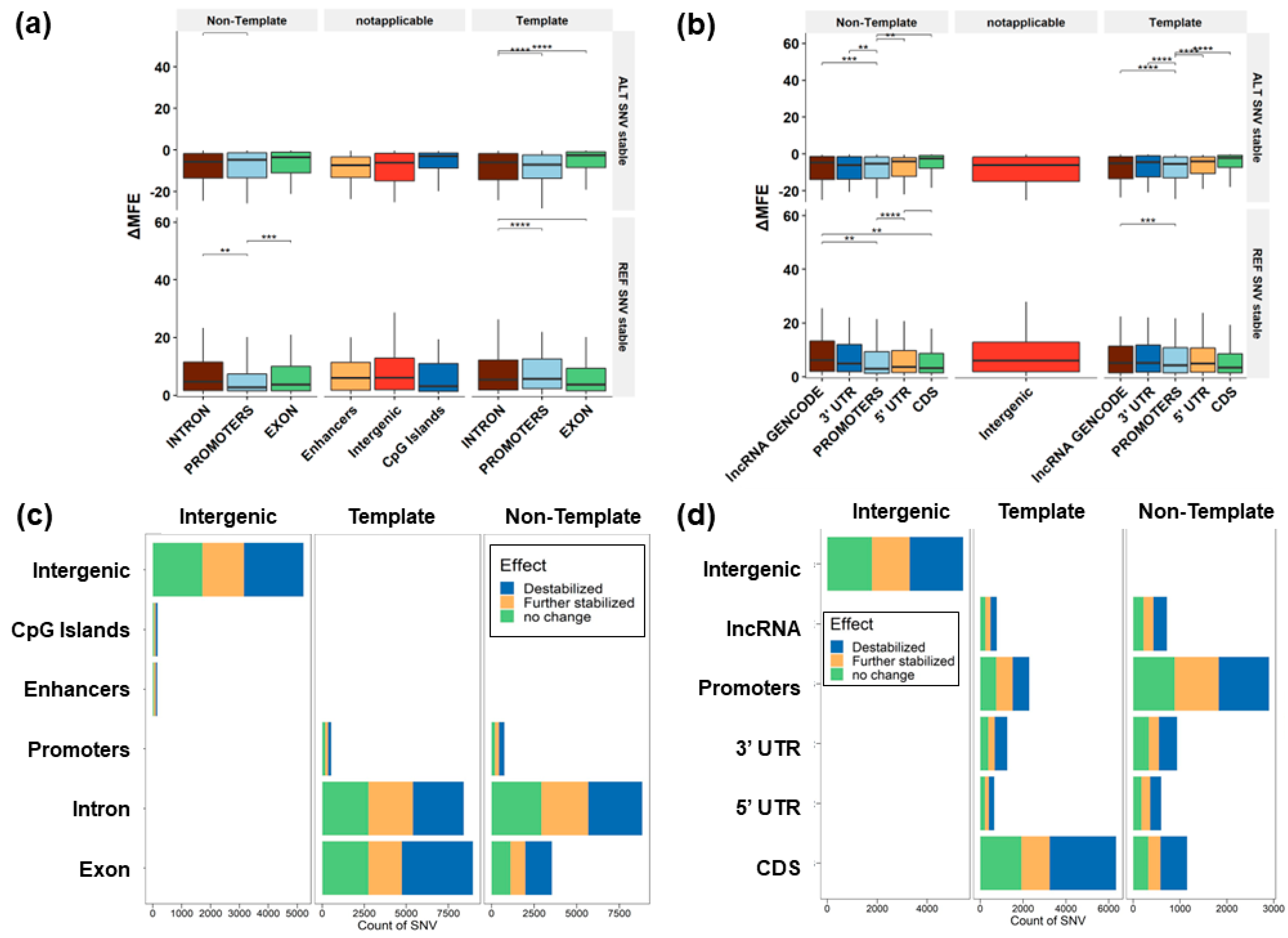 Genes 14 02125 g004 Genes 14 02125 g004
