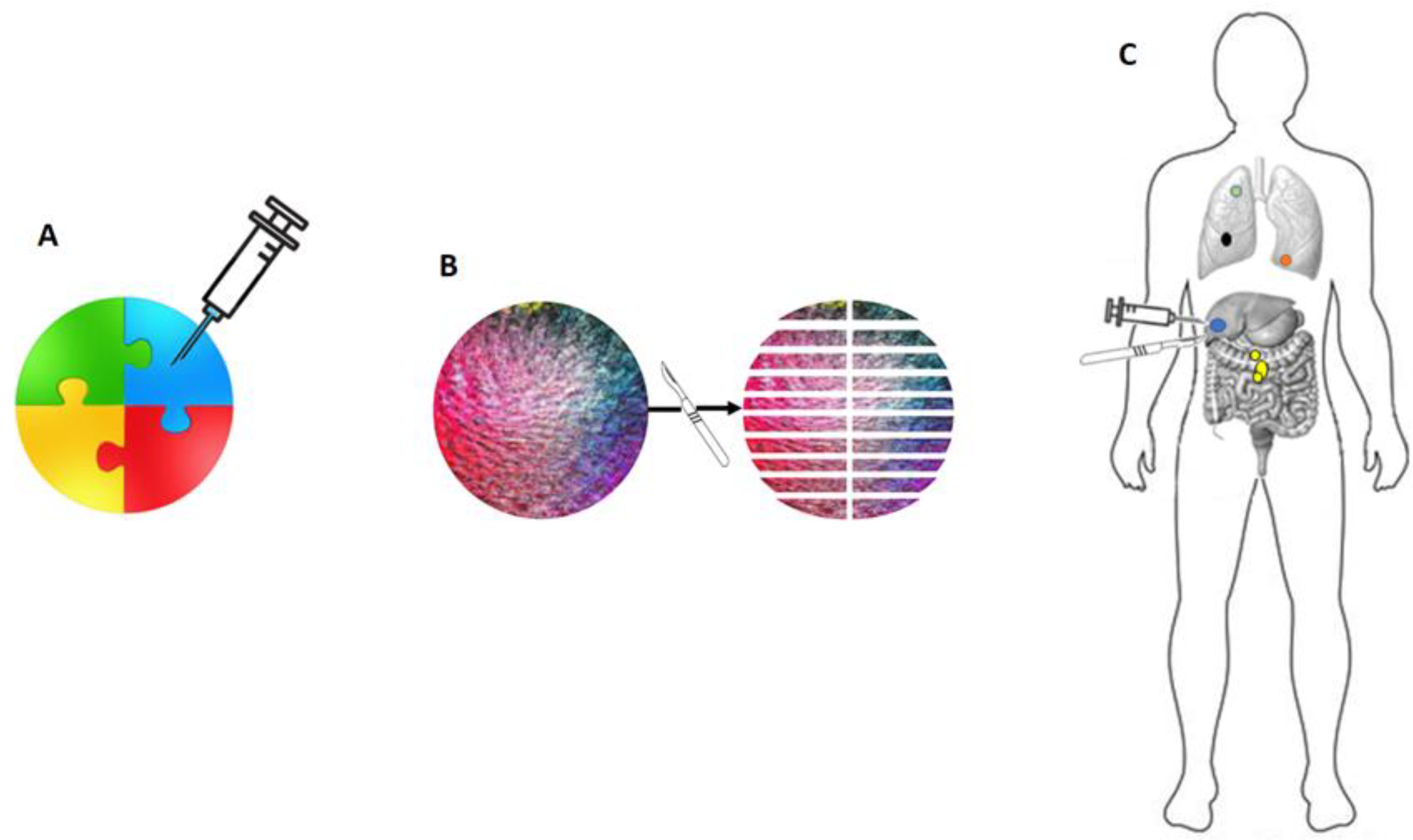 The Power Of Genes: Exploring Height Variation - hfb7w33