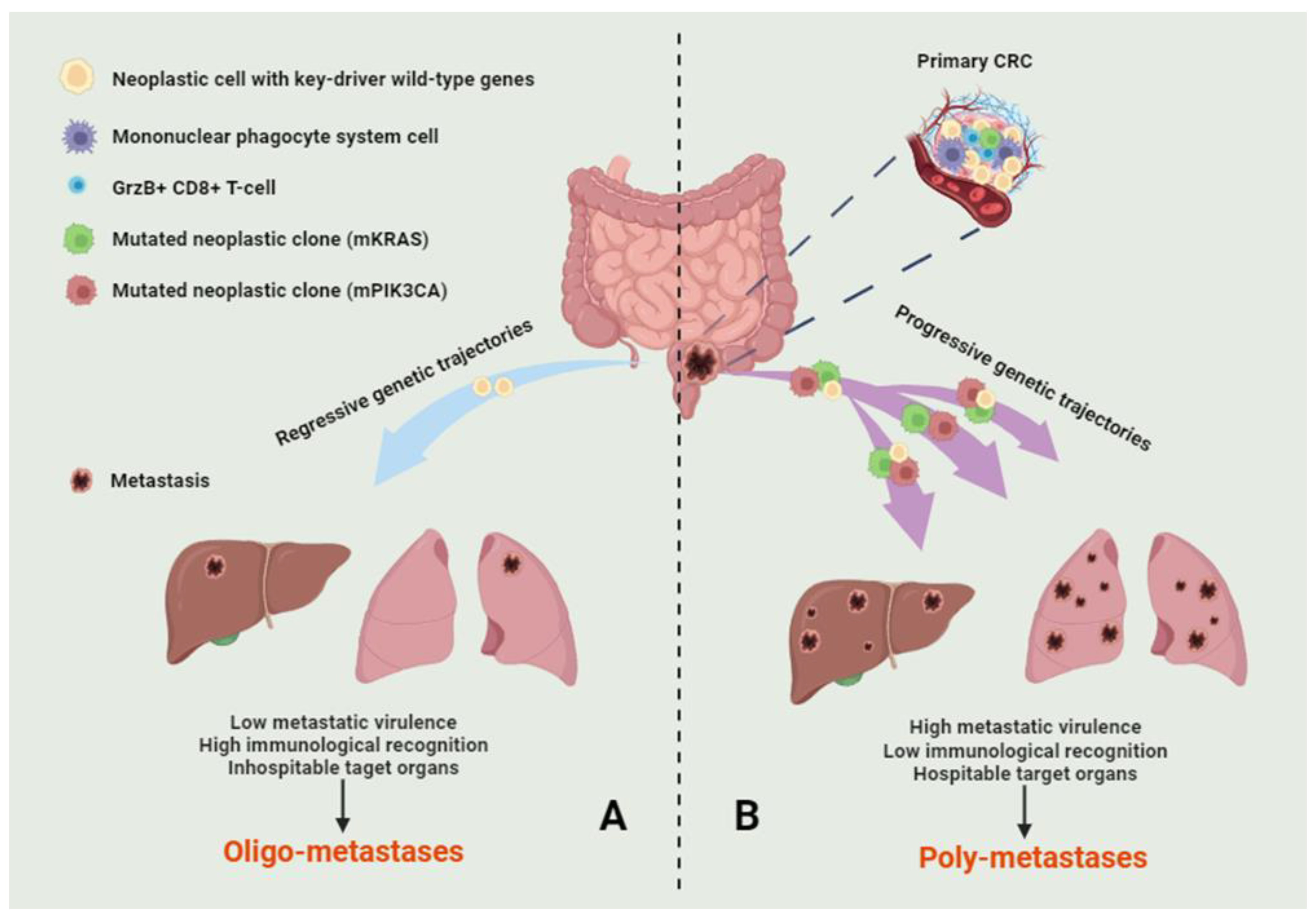 Genes 14 02131 g002 Genes 14 02131 g002