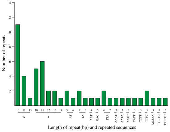 Chloroplast Genome Comparison and Phylogenetic Analysis of