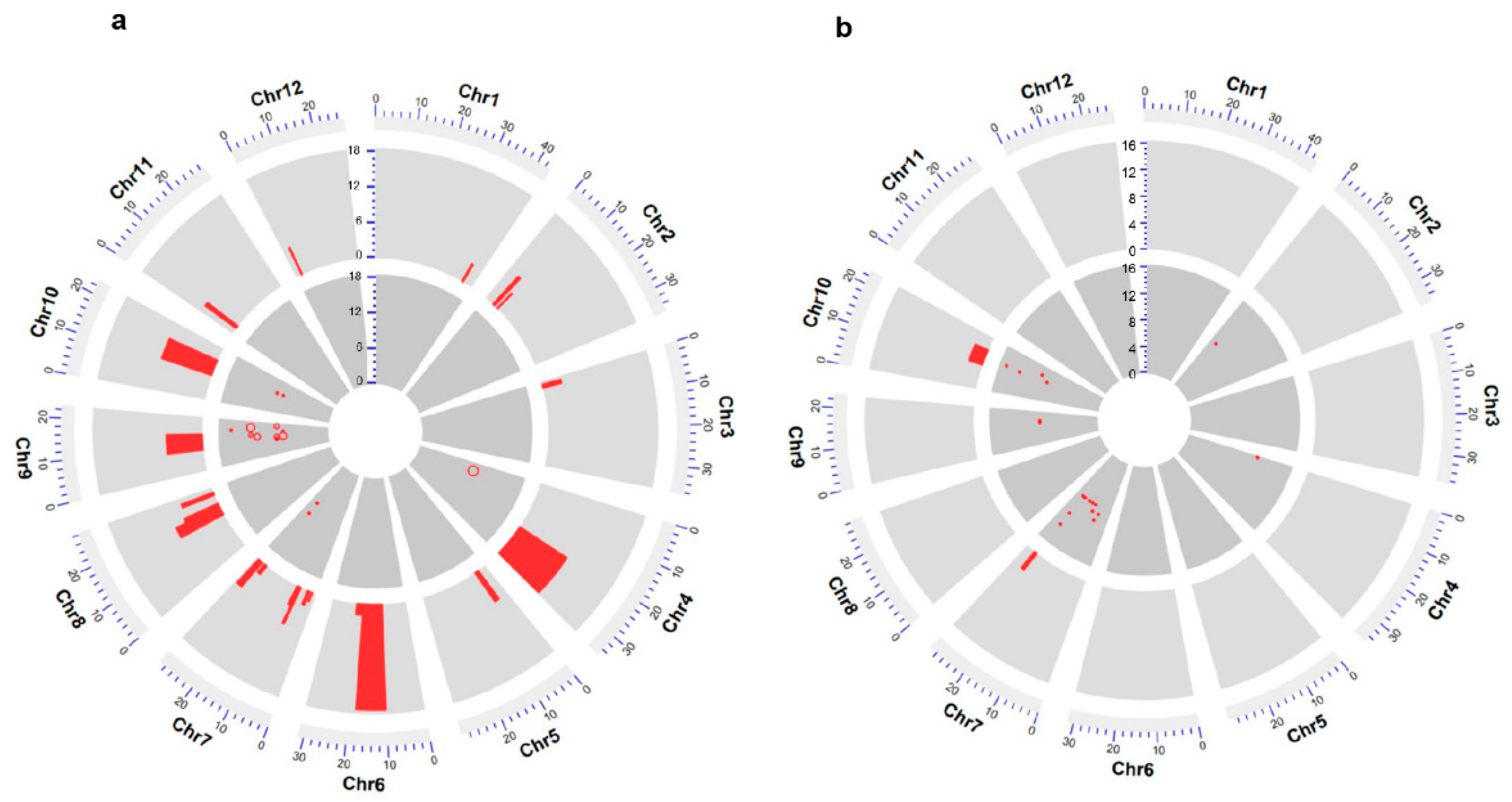 Genes 14 02138 g002 Genes 14 02138 g002