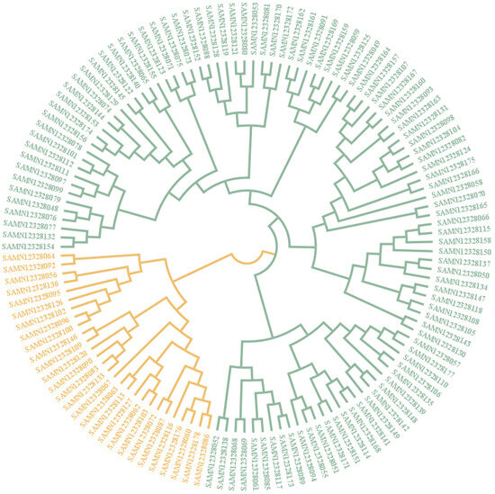 Population Structure and Genetic Diversity of Yunling Cattle