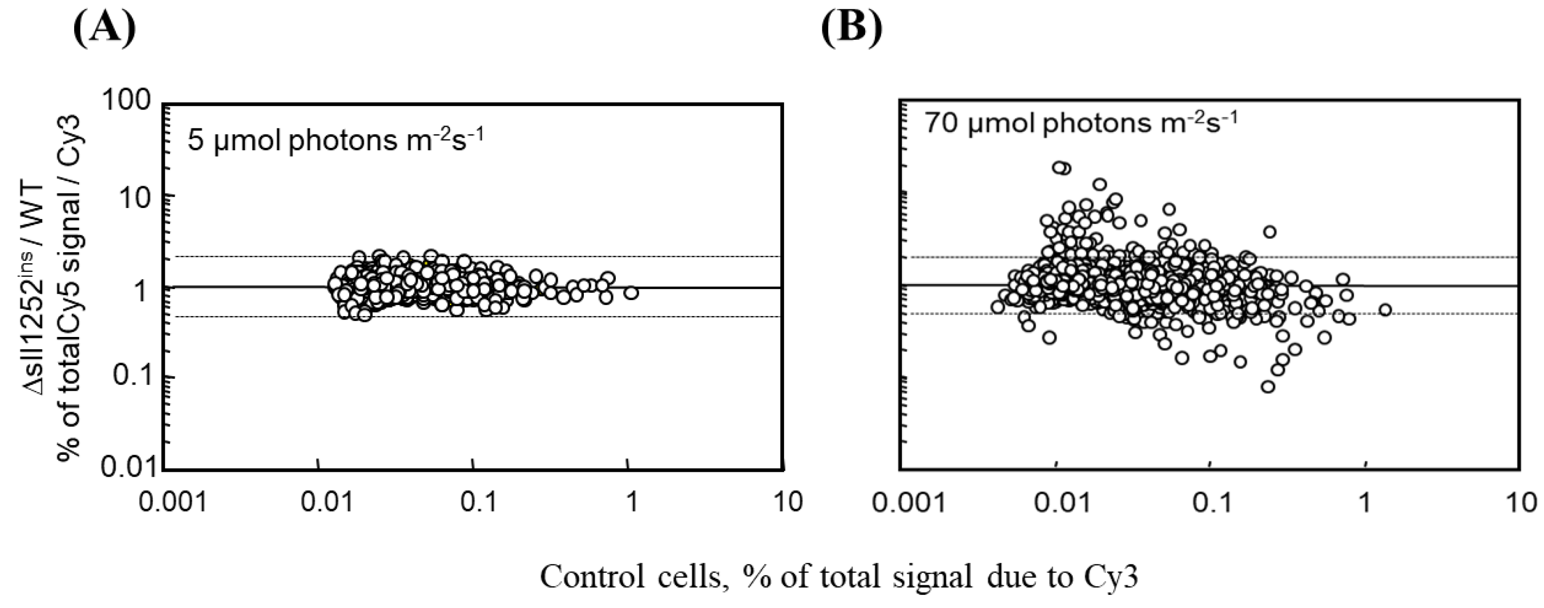 Genes 14 02151 g004 Genes 14 02151 g004