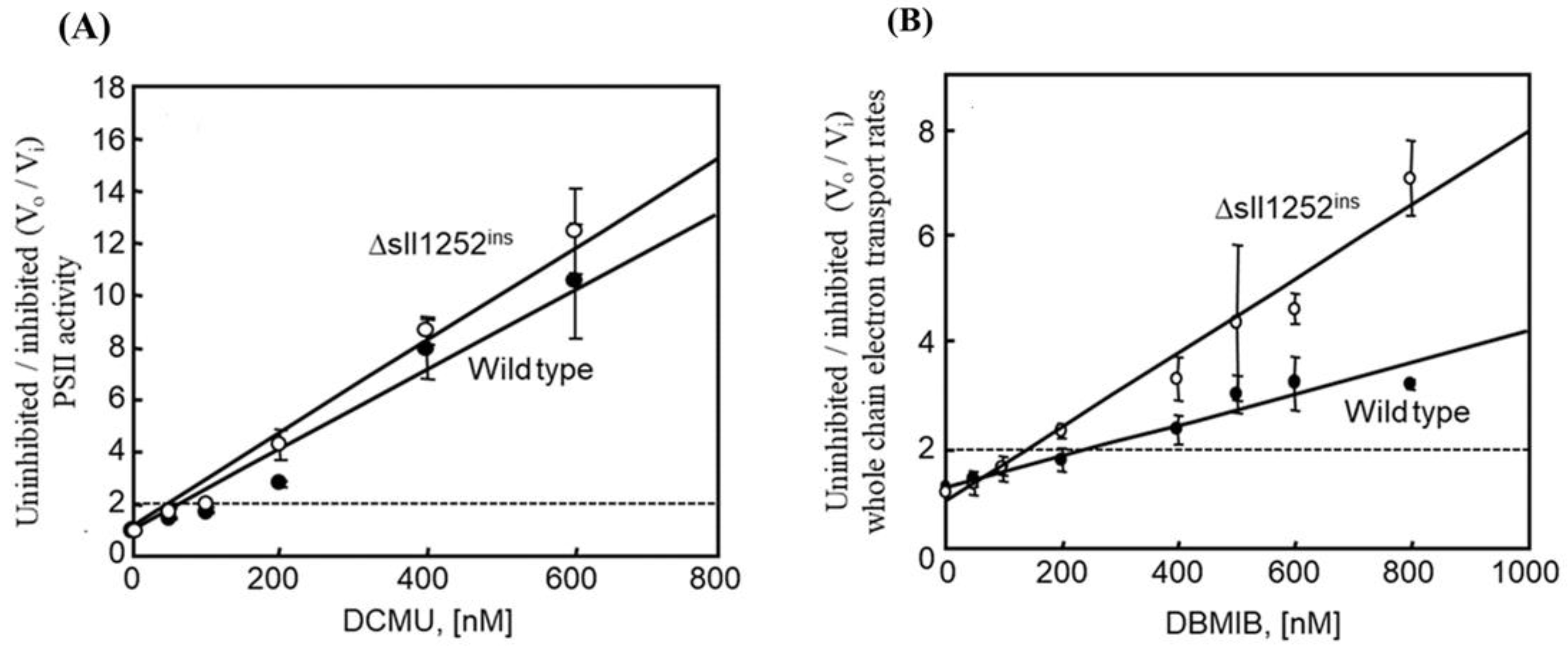 Genes 14 02151 g005 Genes 14 02151 g005