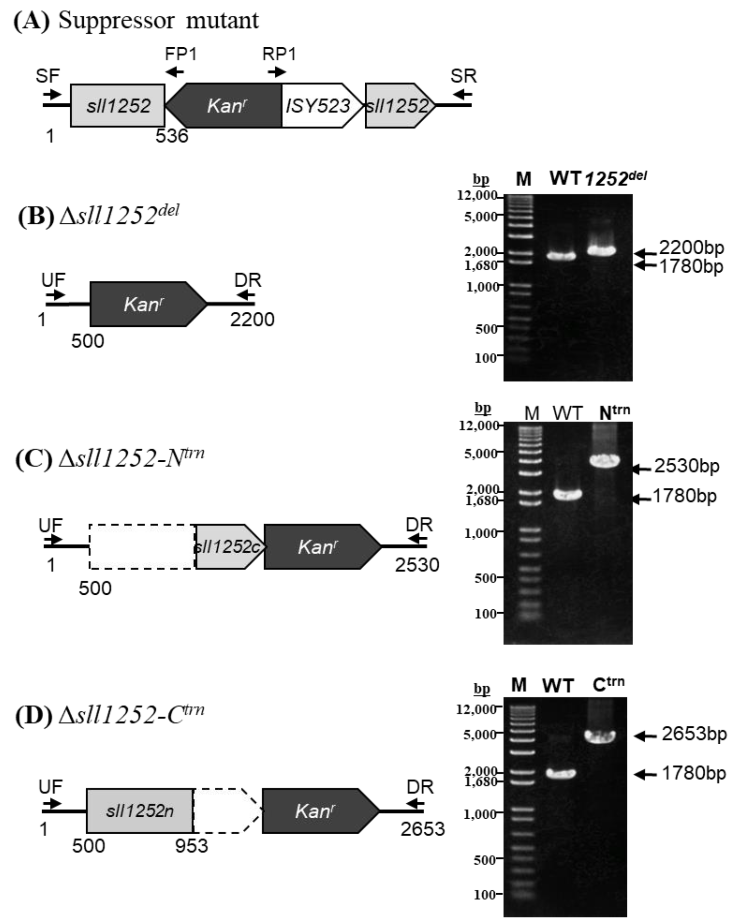 Genes 14 02151 g006 Genes 14 02151 g006