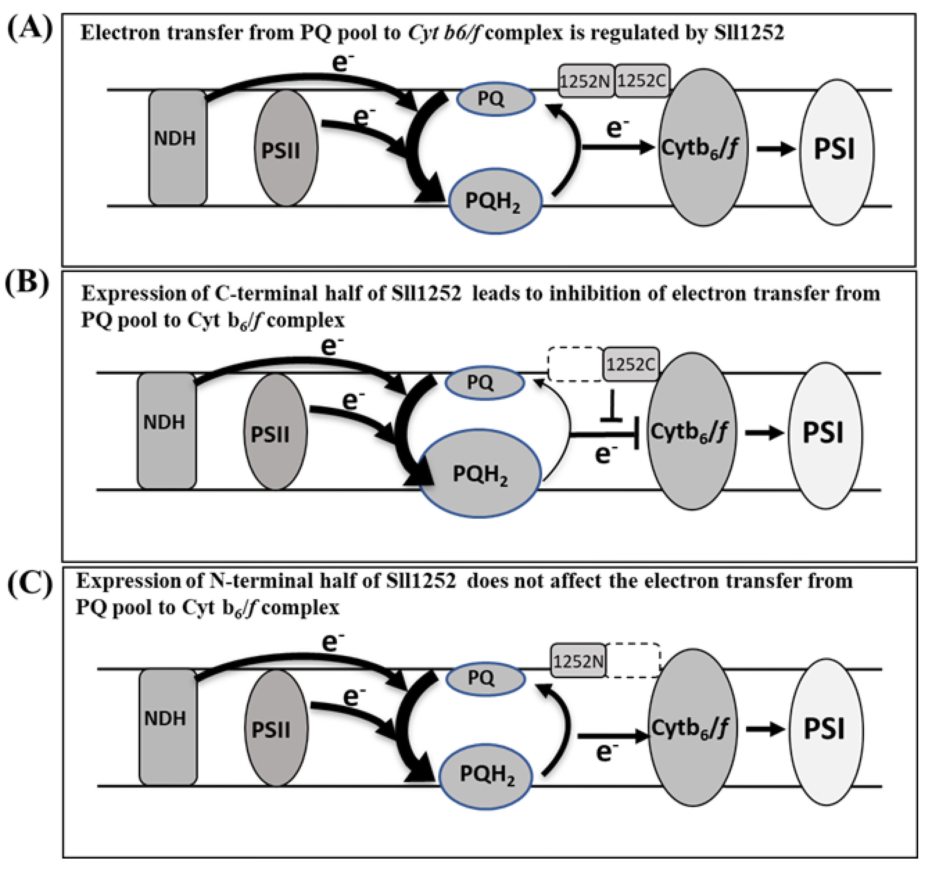 Genes 14 02151 g008 Genes 14 02151 g008